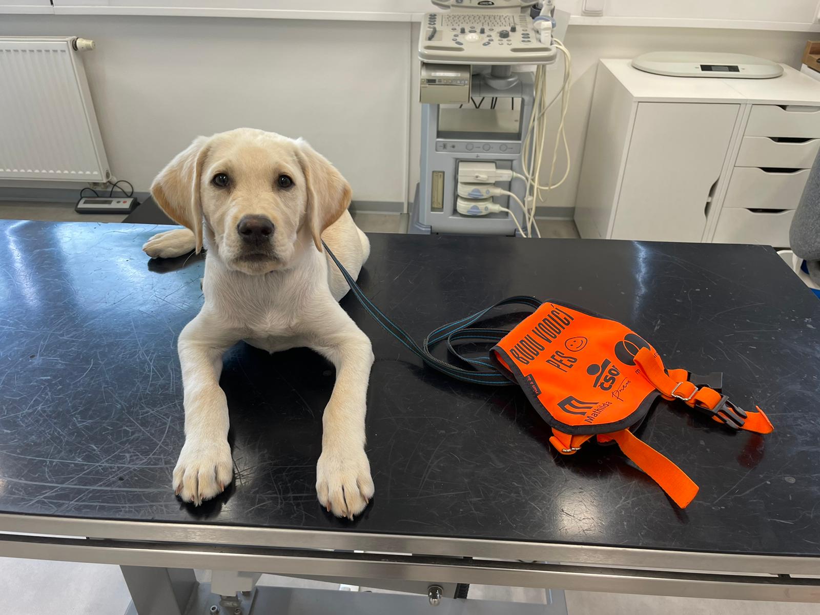 Veterinární ordinace VET-S