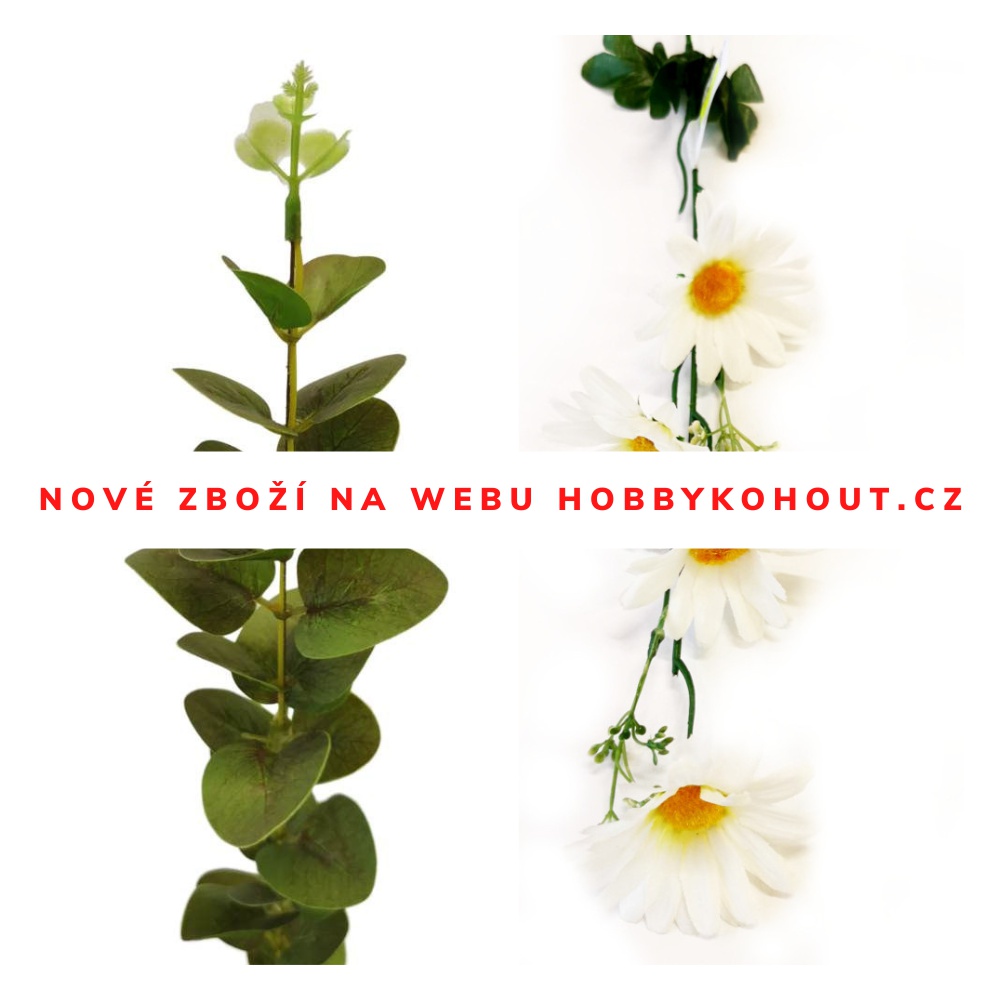 HOBBY KOHOUT foto 3