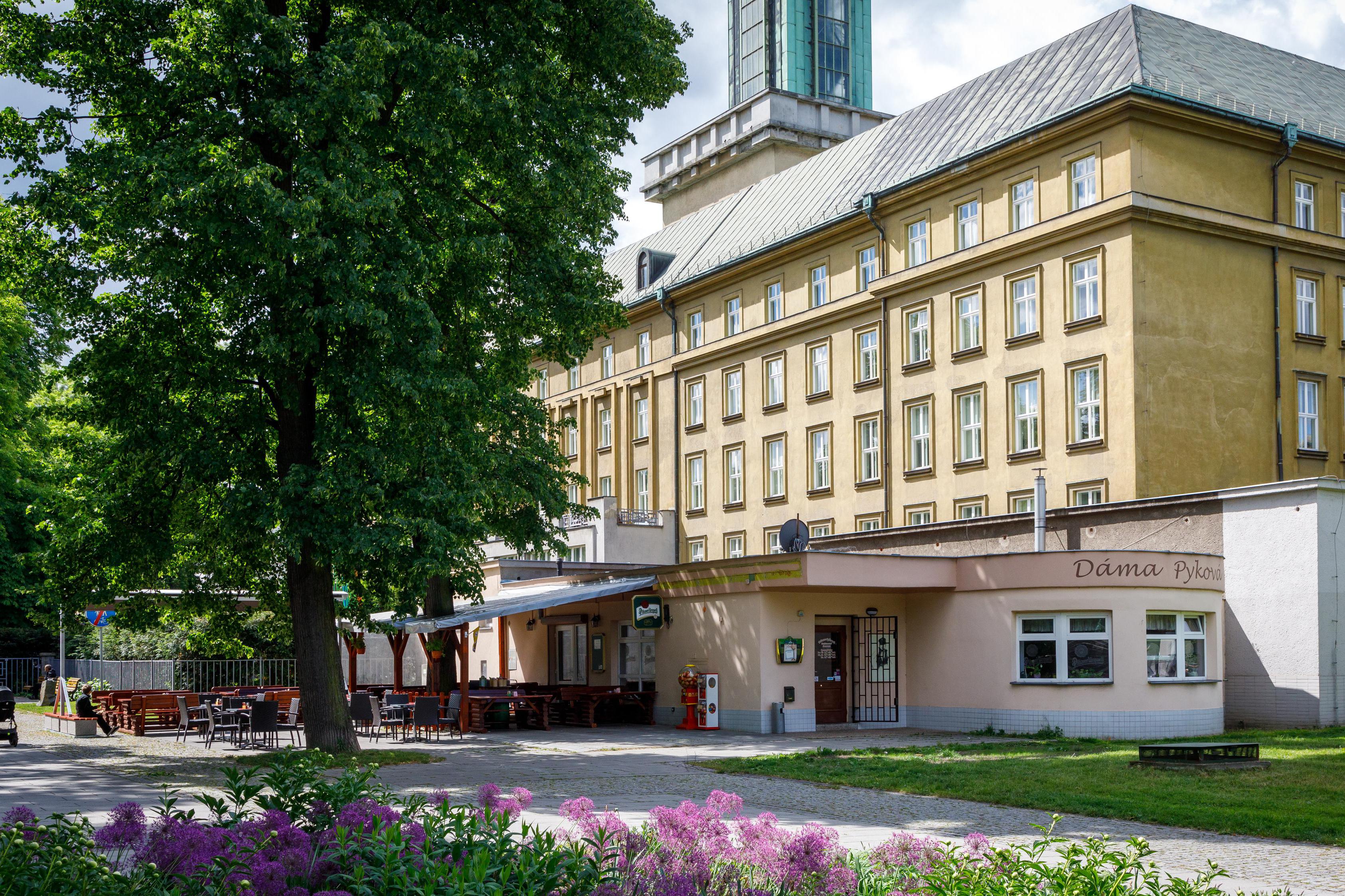 Restaurace Dáma Pyková