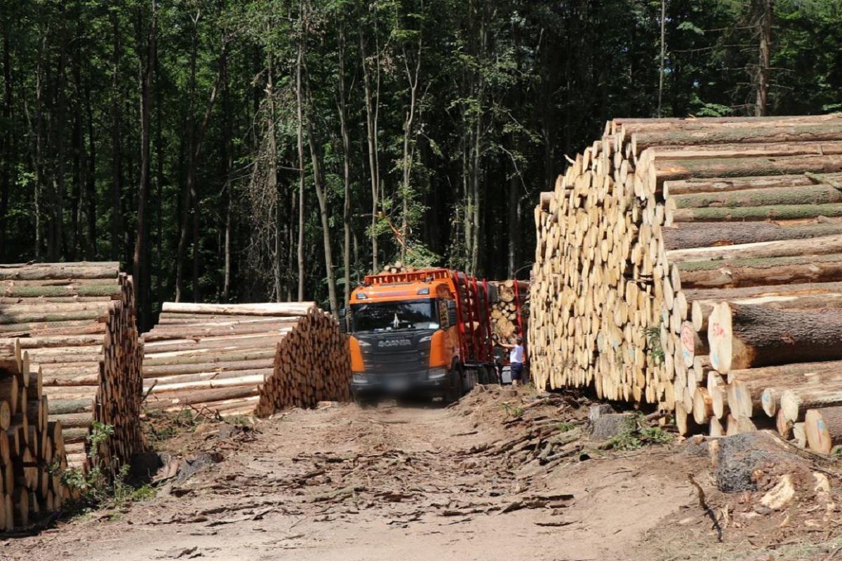 Dvořák ROOF s.r.o.