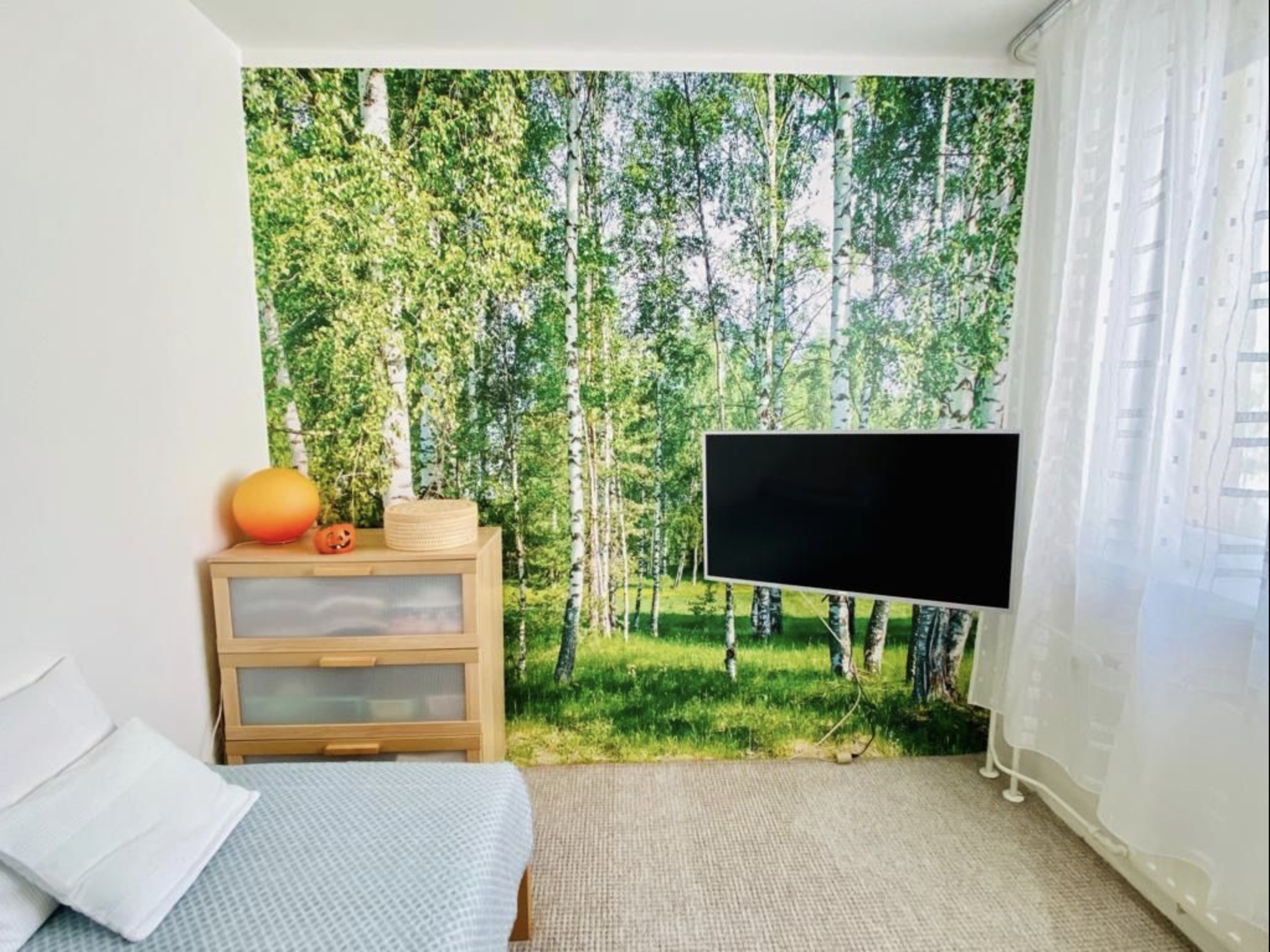 MALÍŘI NATĚRAČI CZ foto 4