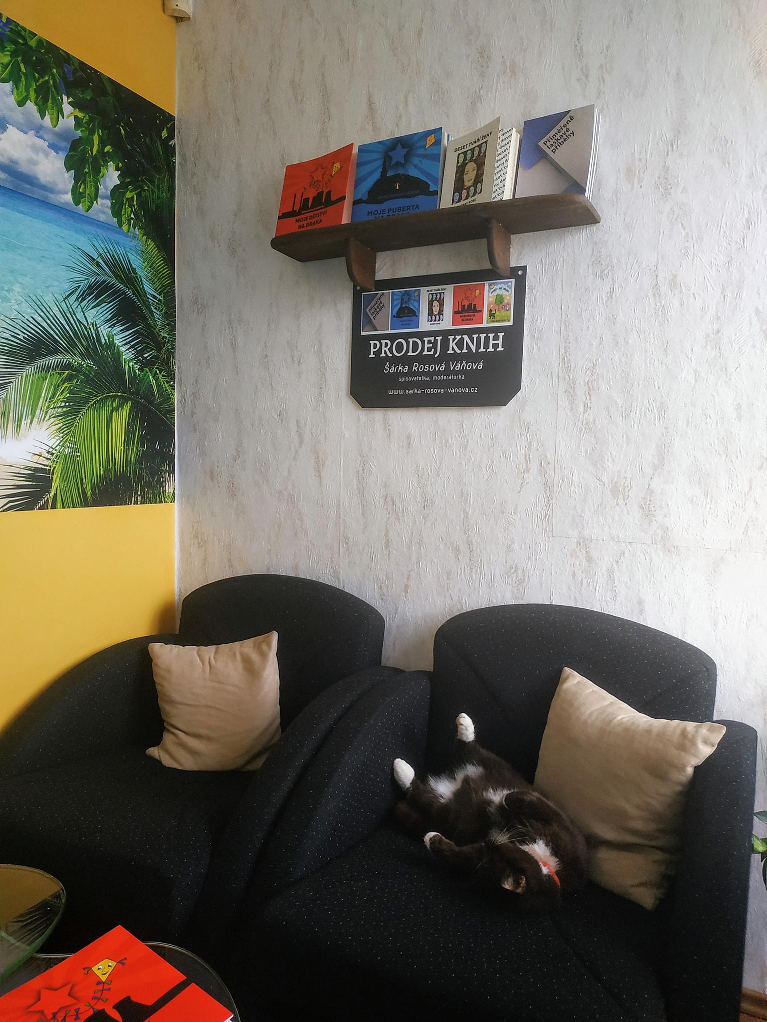 Knihy psané srdcem - Šárka Rosová Váňová foto 3