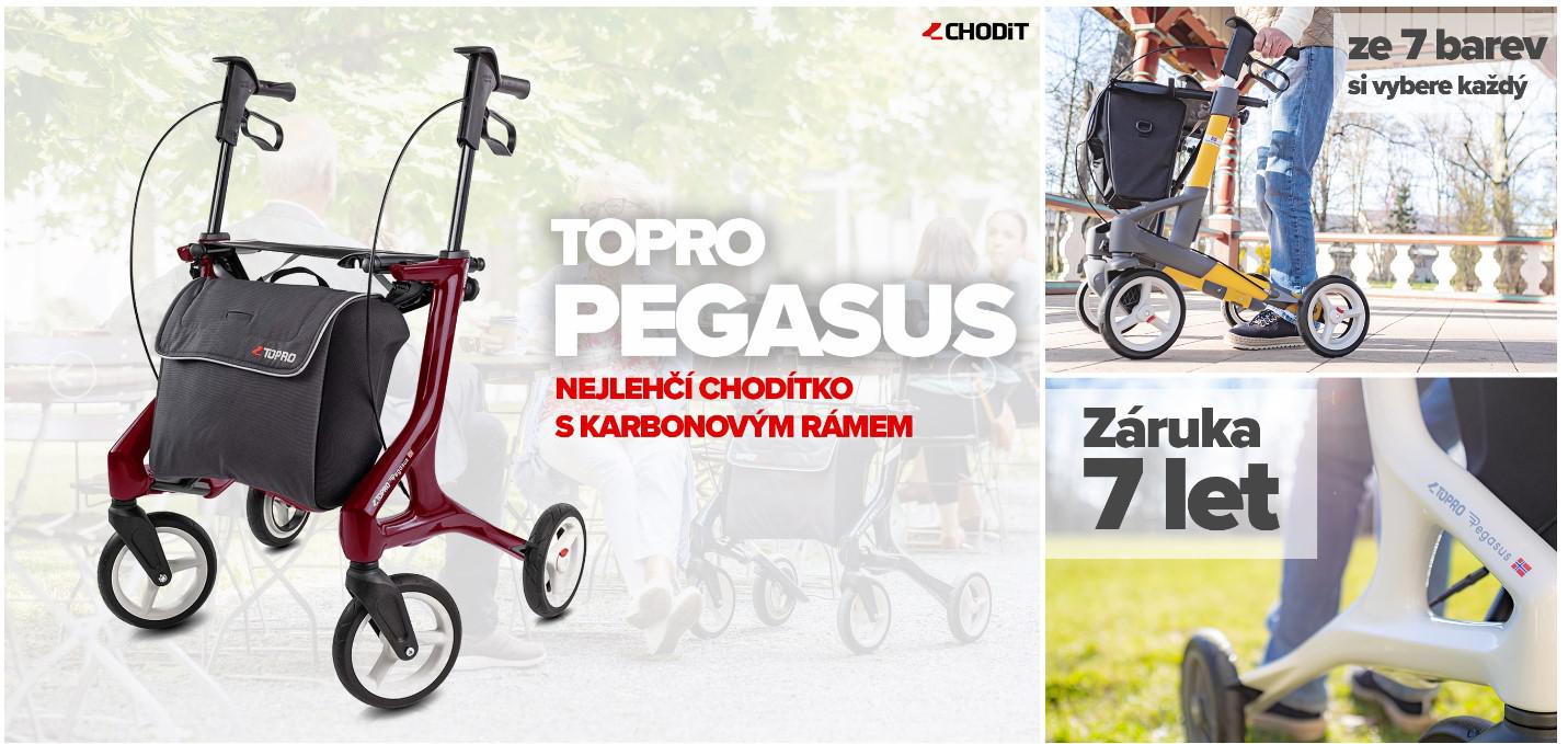 CHODIT.CZ foto 2