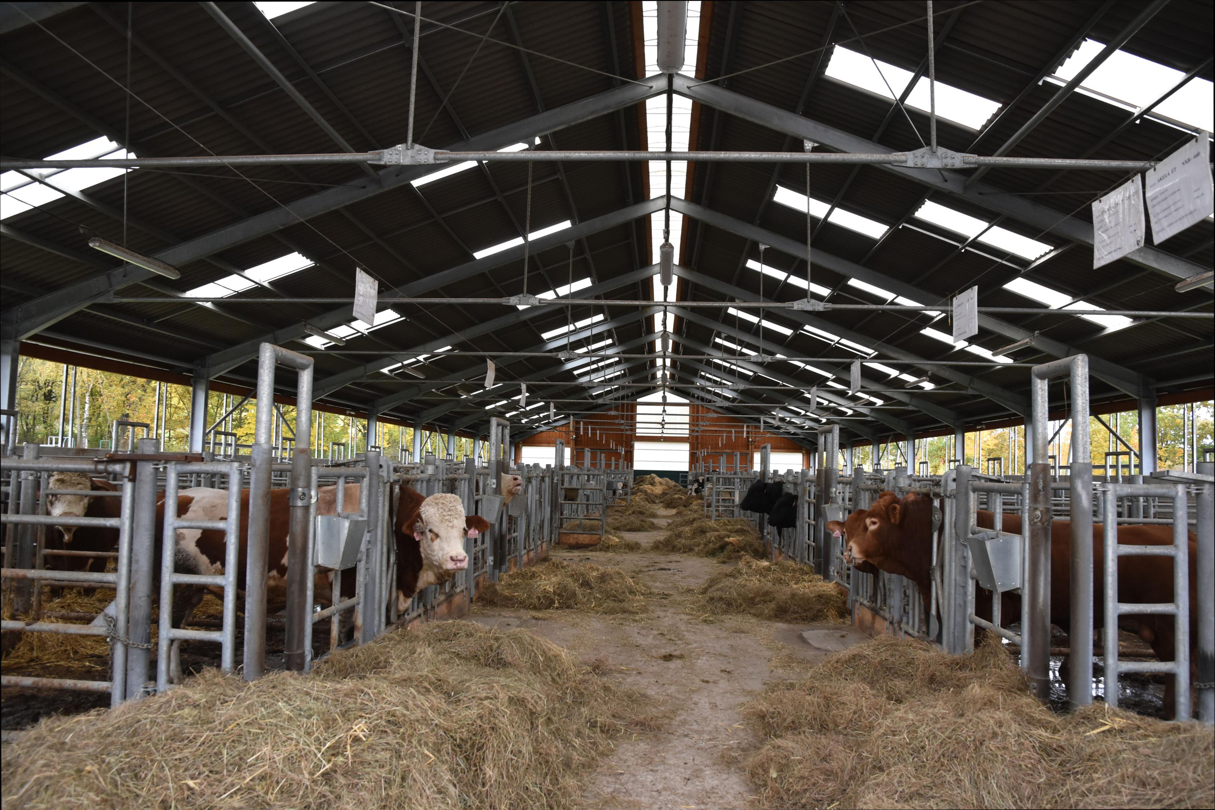 Jihočeský chovatel a.s.