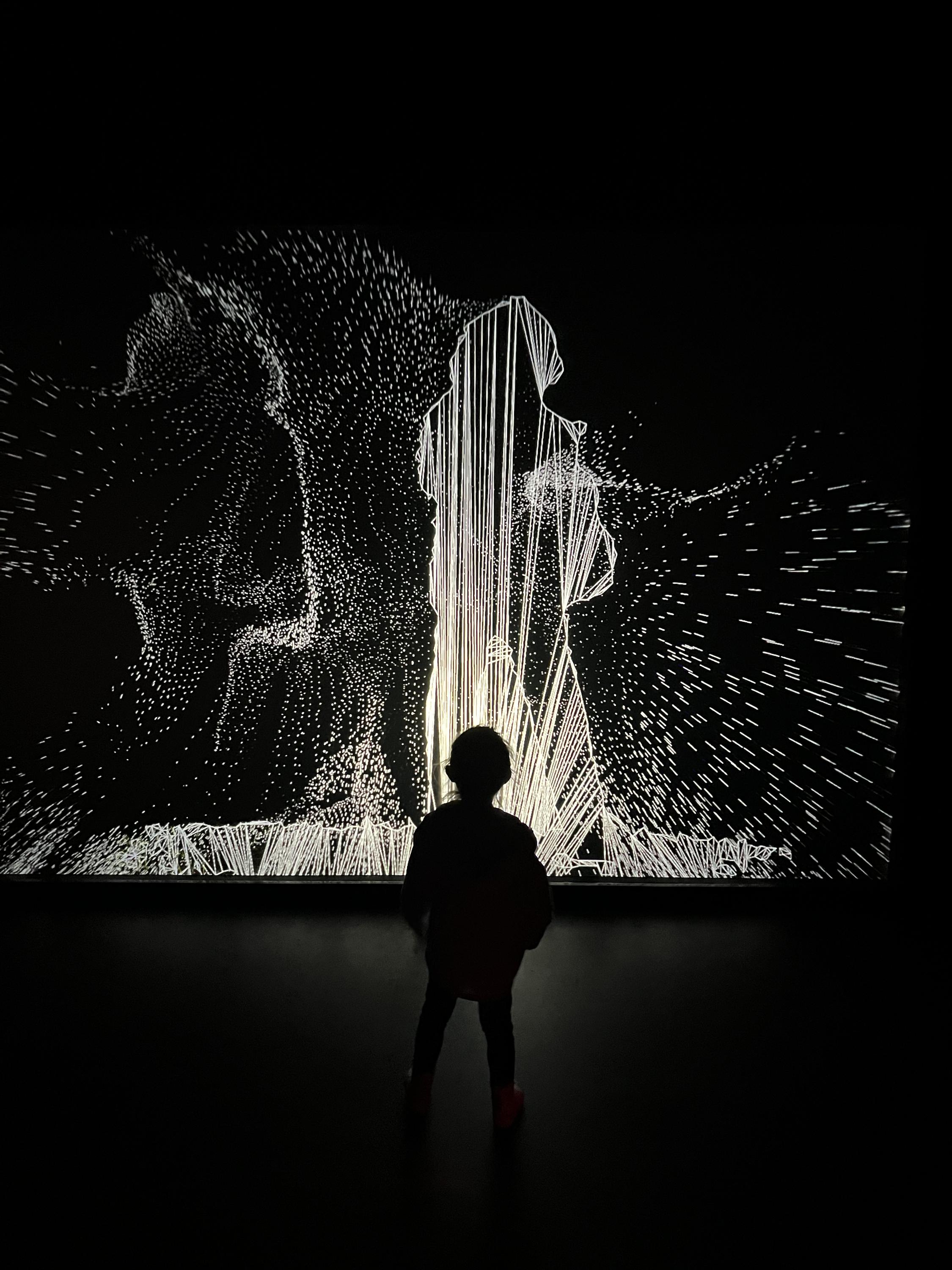 Lumia Gallery foto 3