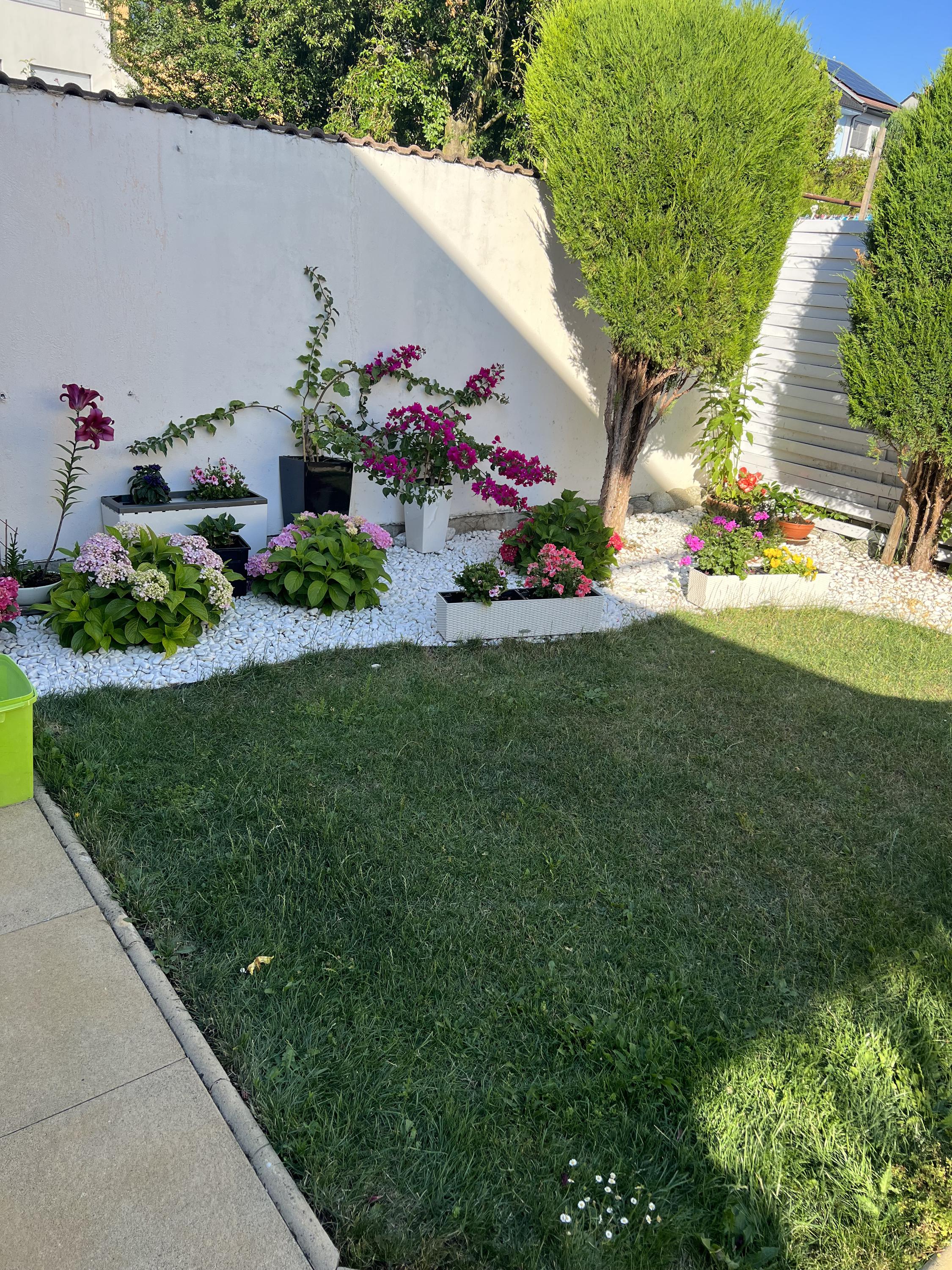 LECHUZA - samozavlažovací květináče foto 5