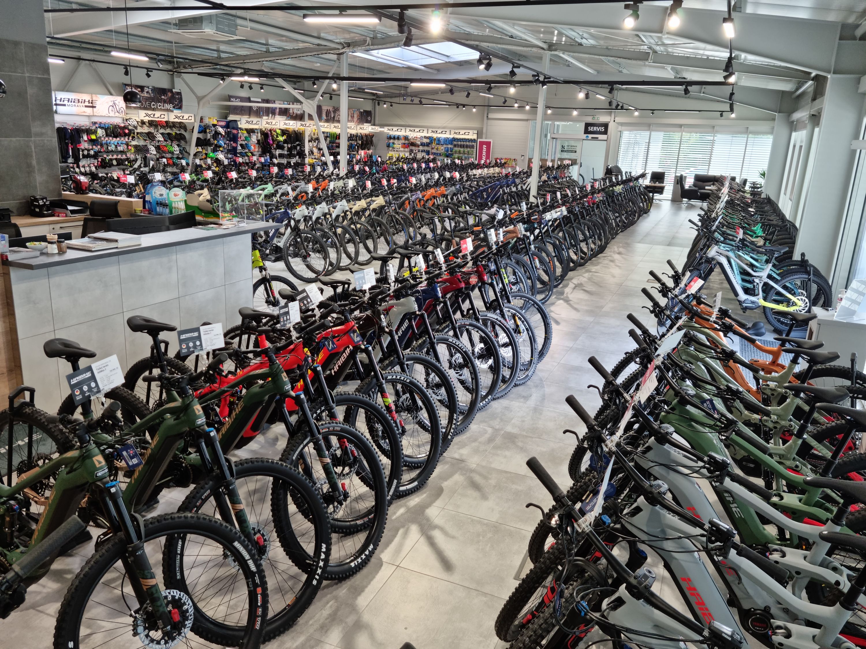 DDBIKE foto 5