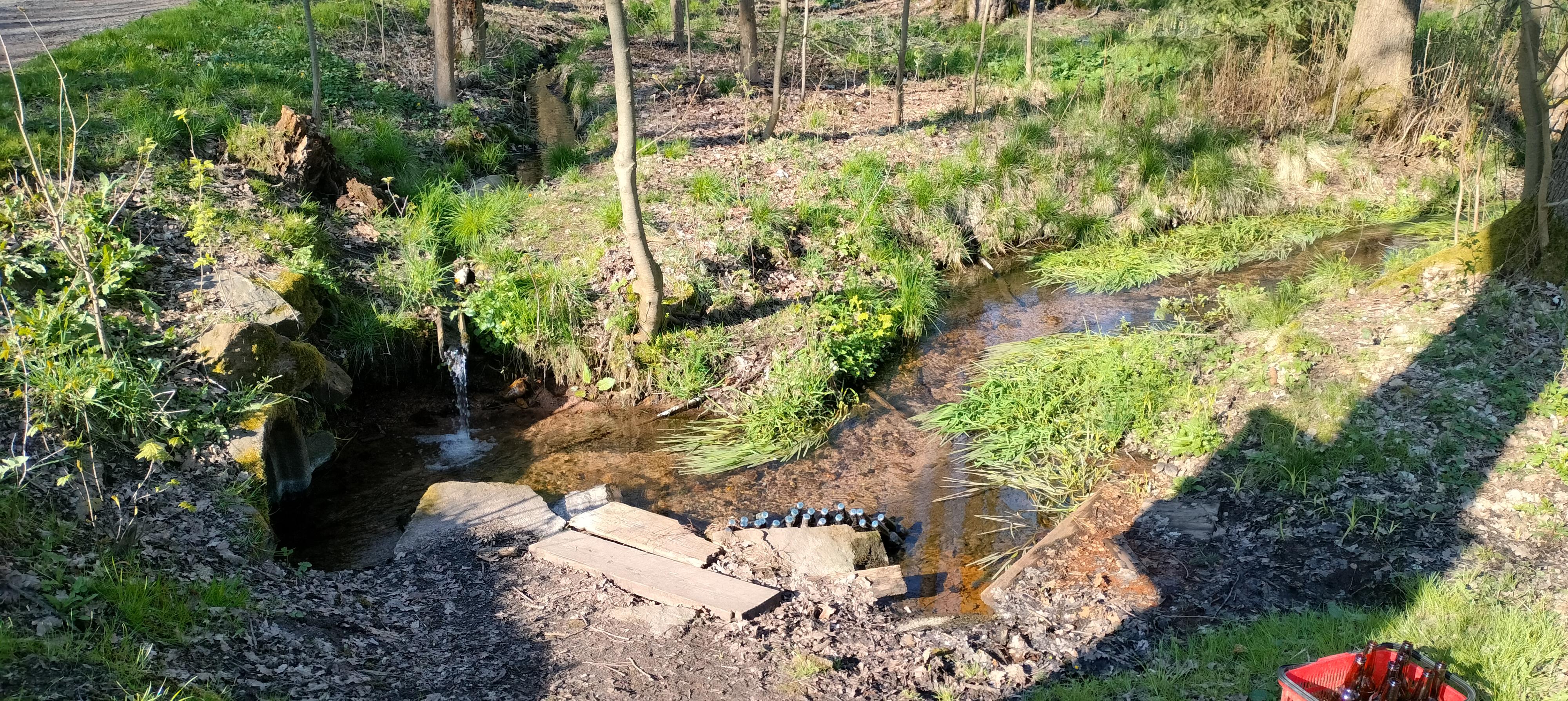 Lesní bar Údolí foto 4