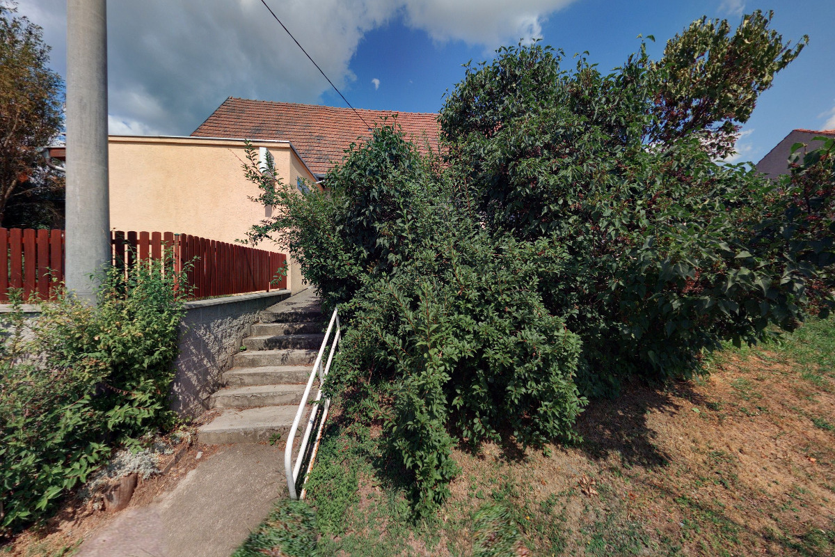 Veterinární ambulance - MVDr. Jan Musil foto 4