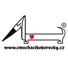 Logo obchodu Cmuchacikoberecky.cz