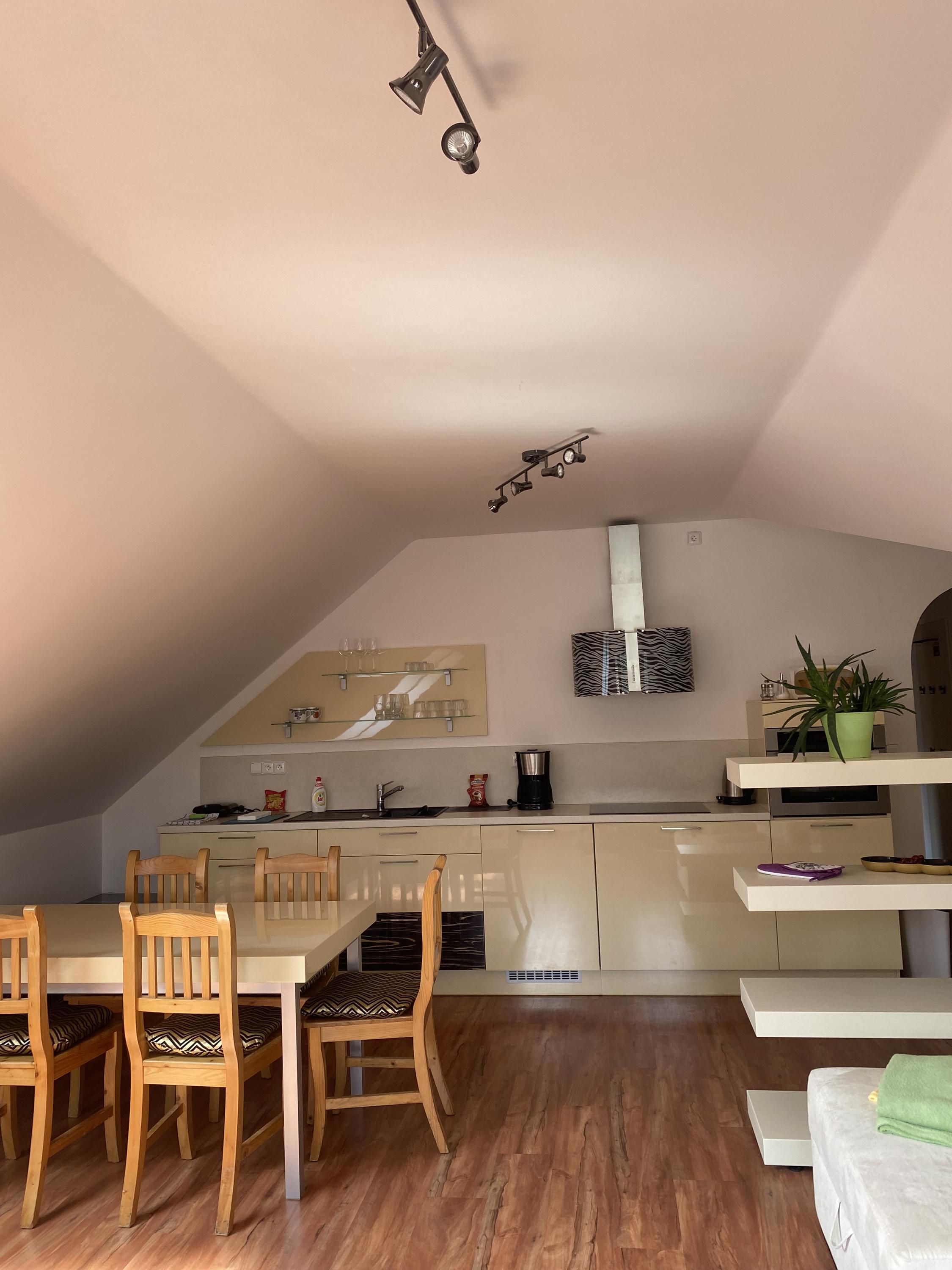 Apartmány k pronájmu - Obchodní Plus s.r.o. foto 5