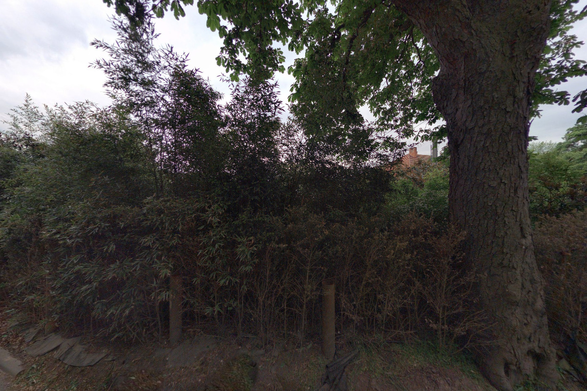 MVDr. Irena Sedláčková