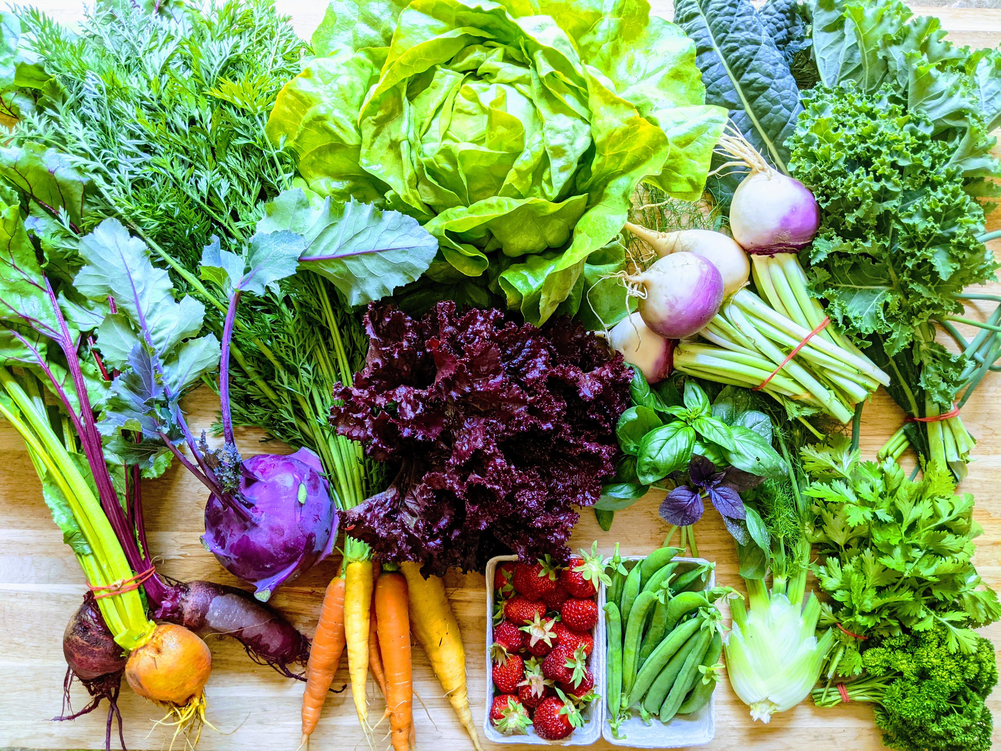 Farma Mezi řádky foto 3