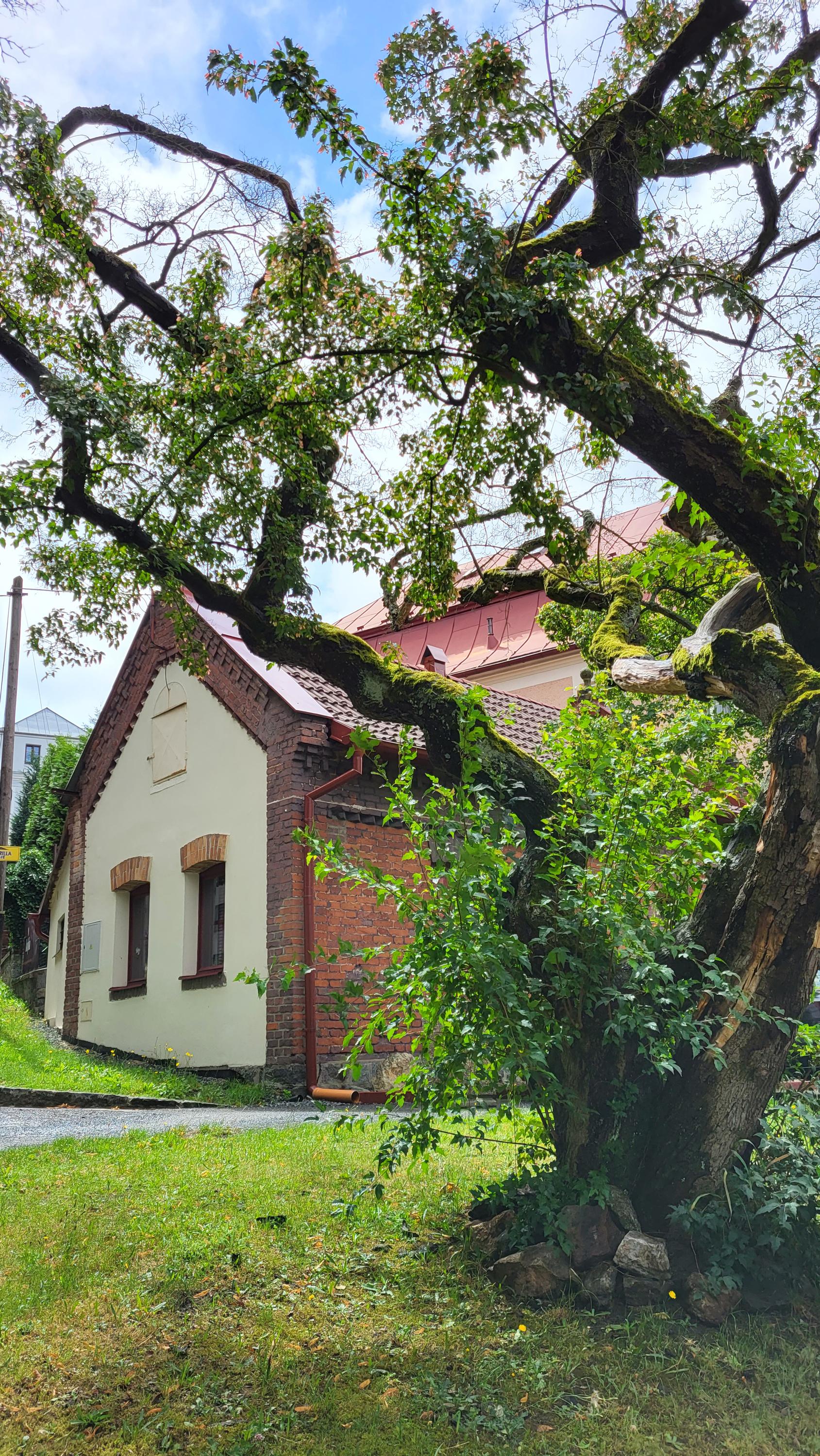 Chodská kavárna foto 2