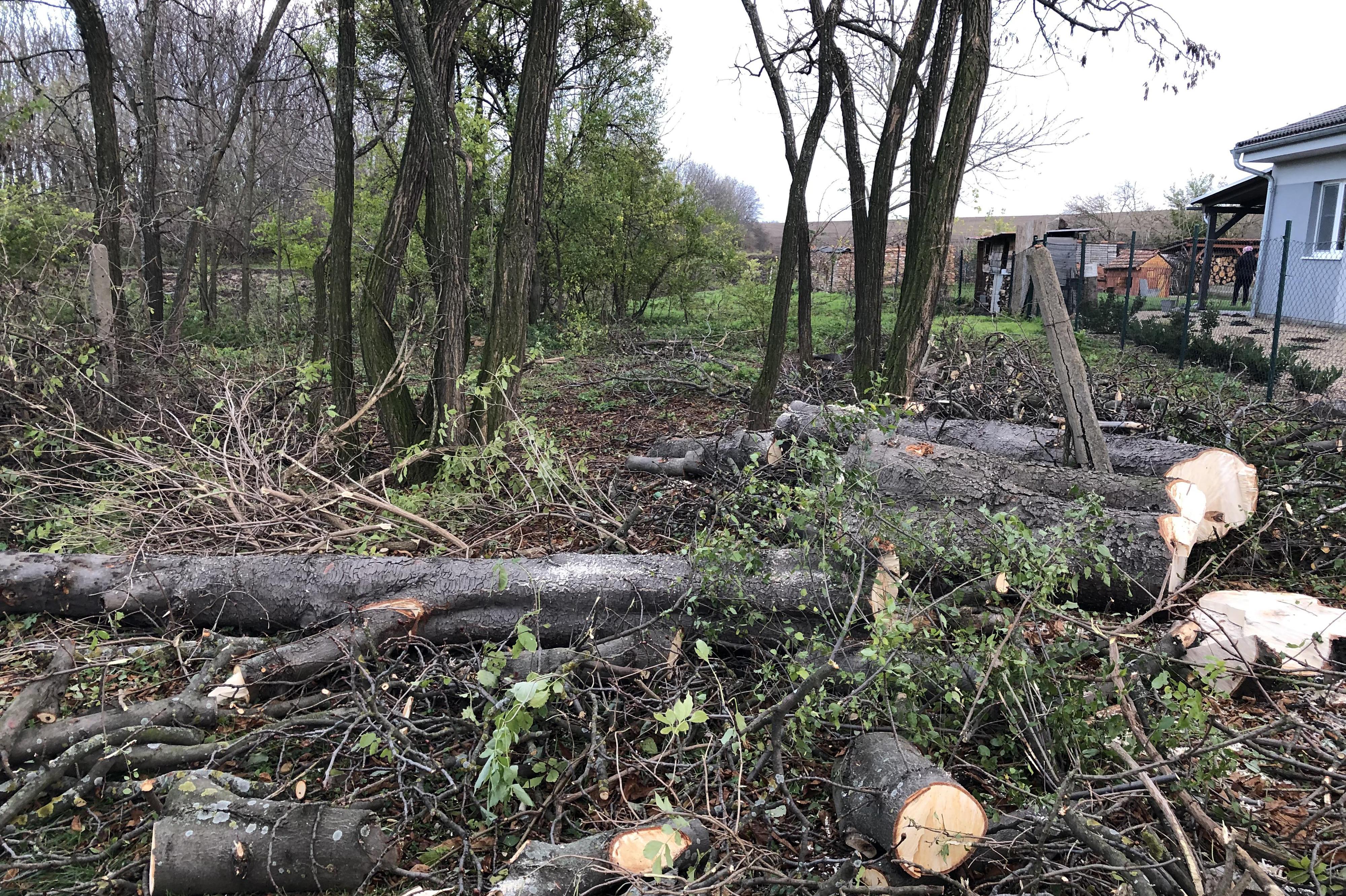 Lukáš Kočica - Komplexní služby