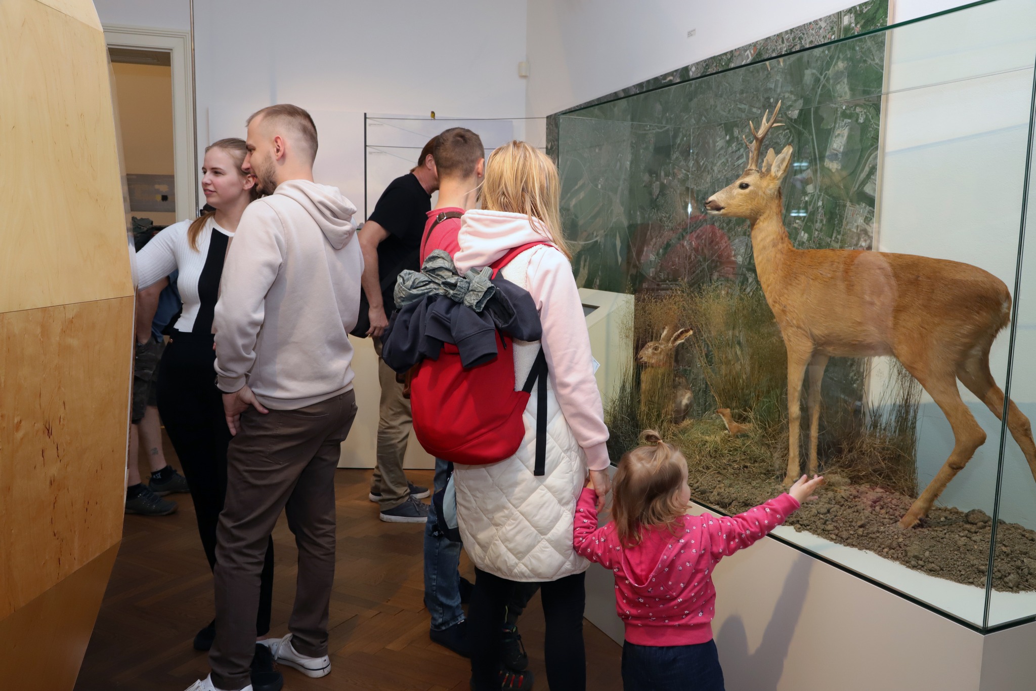 Ostravské muzeum foto 3