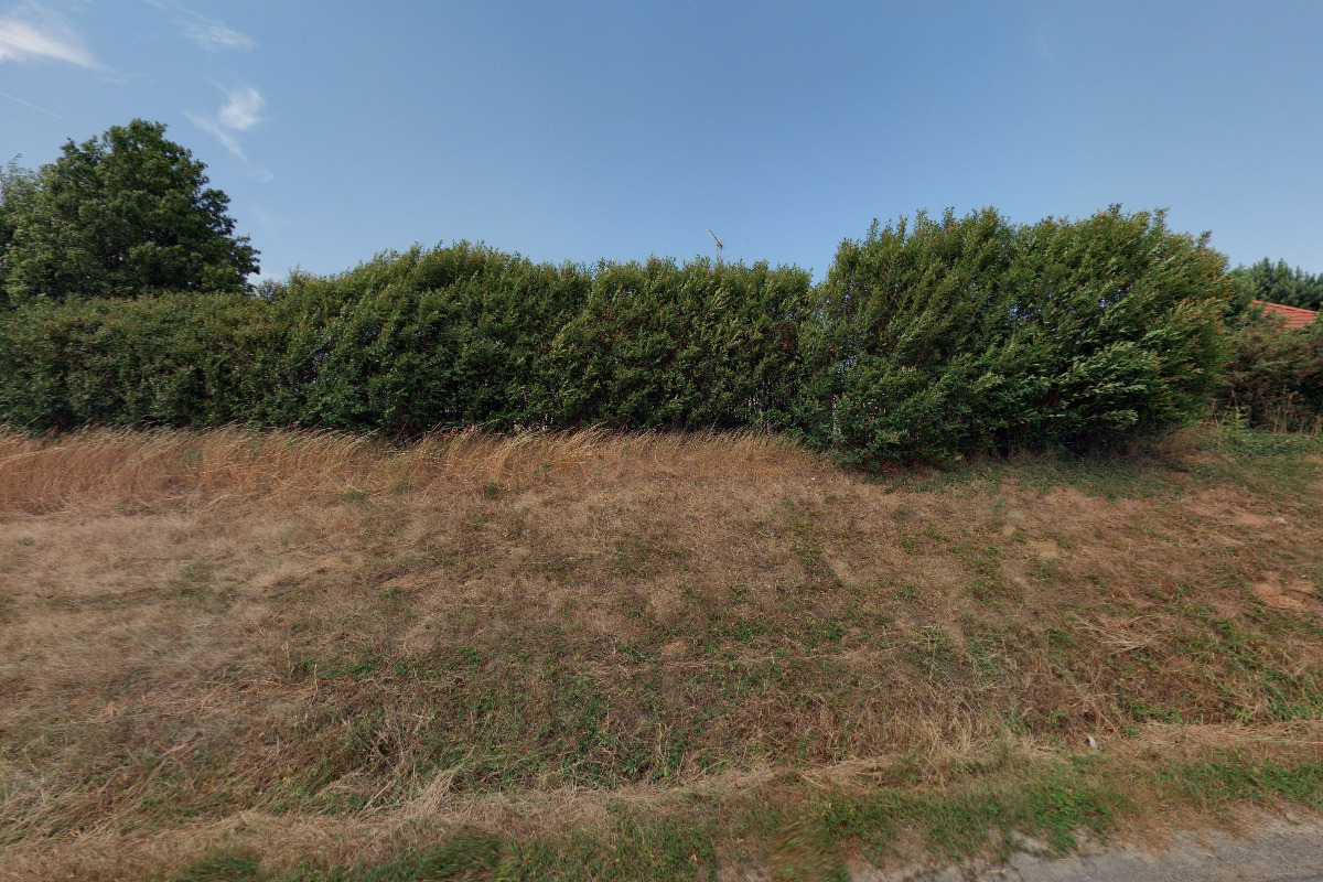 MUDr. Jindra Zarivná foto 2