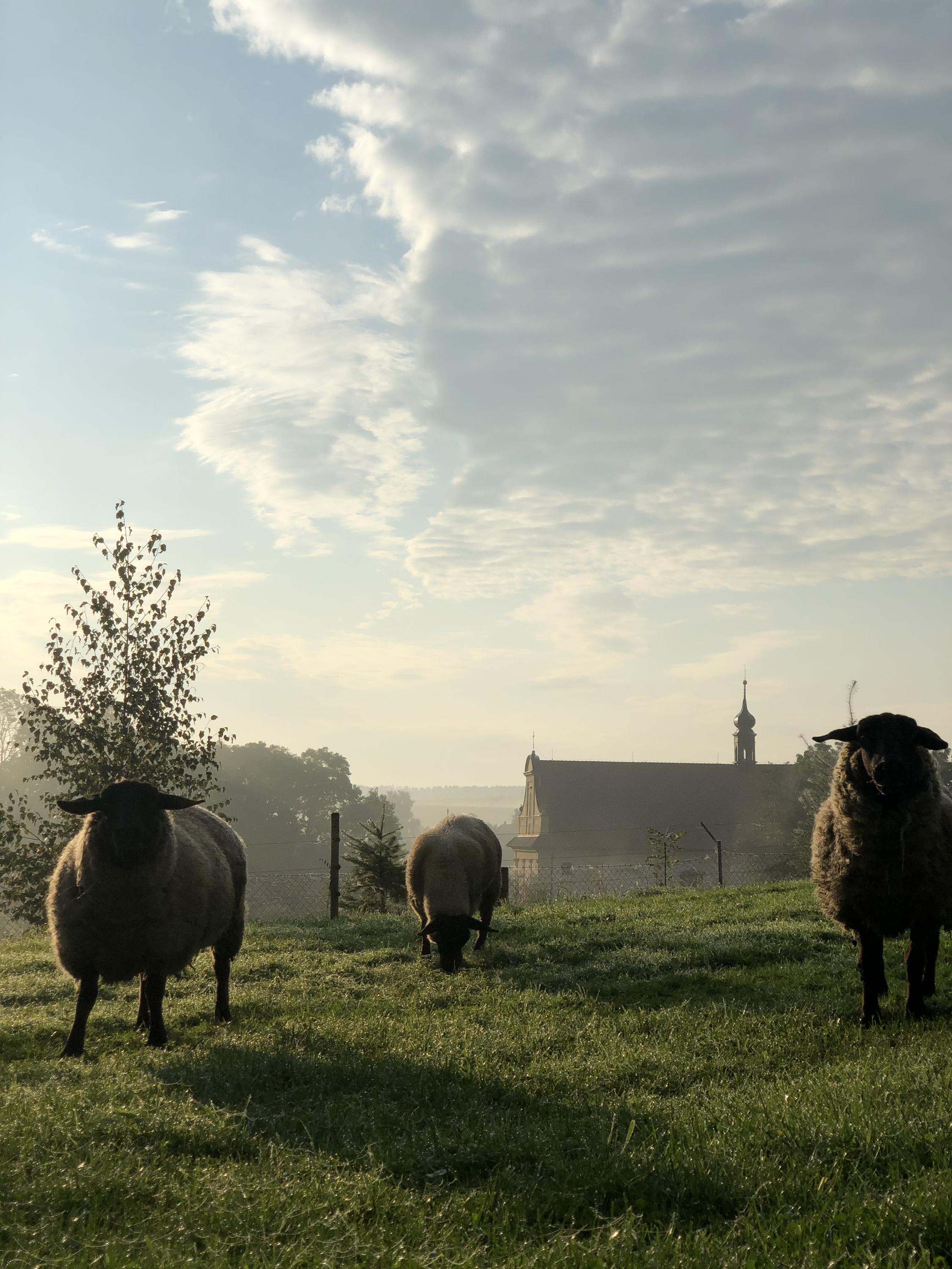 Tábořiště a stellplatz Eldorádo - bezkempu.cz foto 3