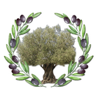 1L Extra panenský olivový olej THEIKOS v obchodě THEIKOS