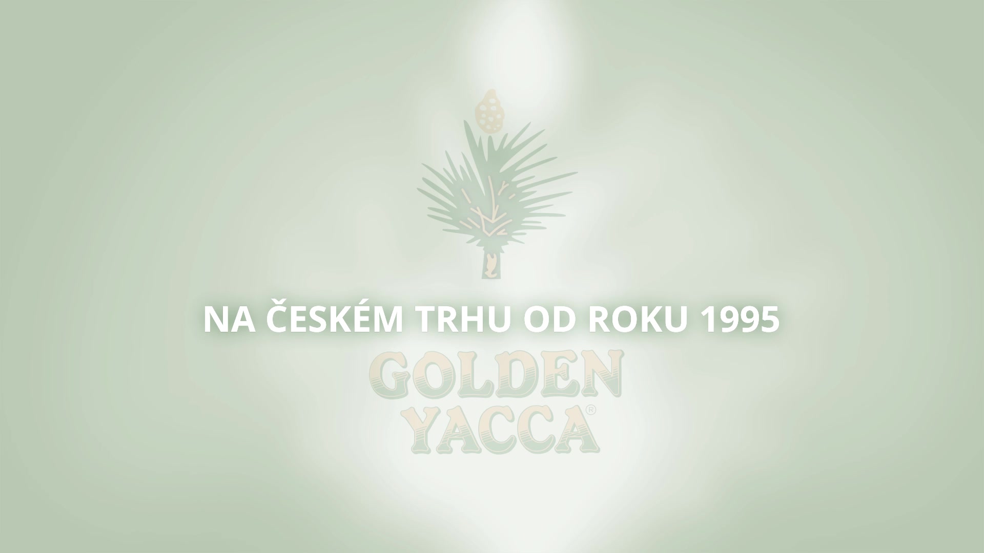Golden Yacca - EGYM Bohemia s.r.o. foto 2 (náhled videa)