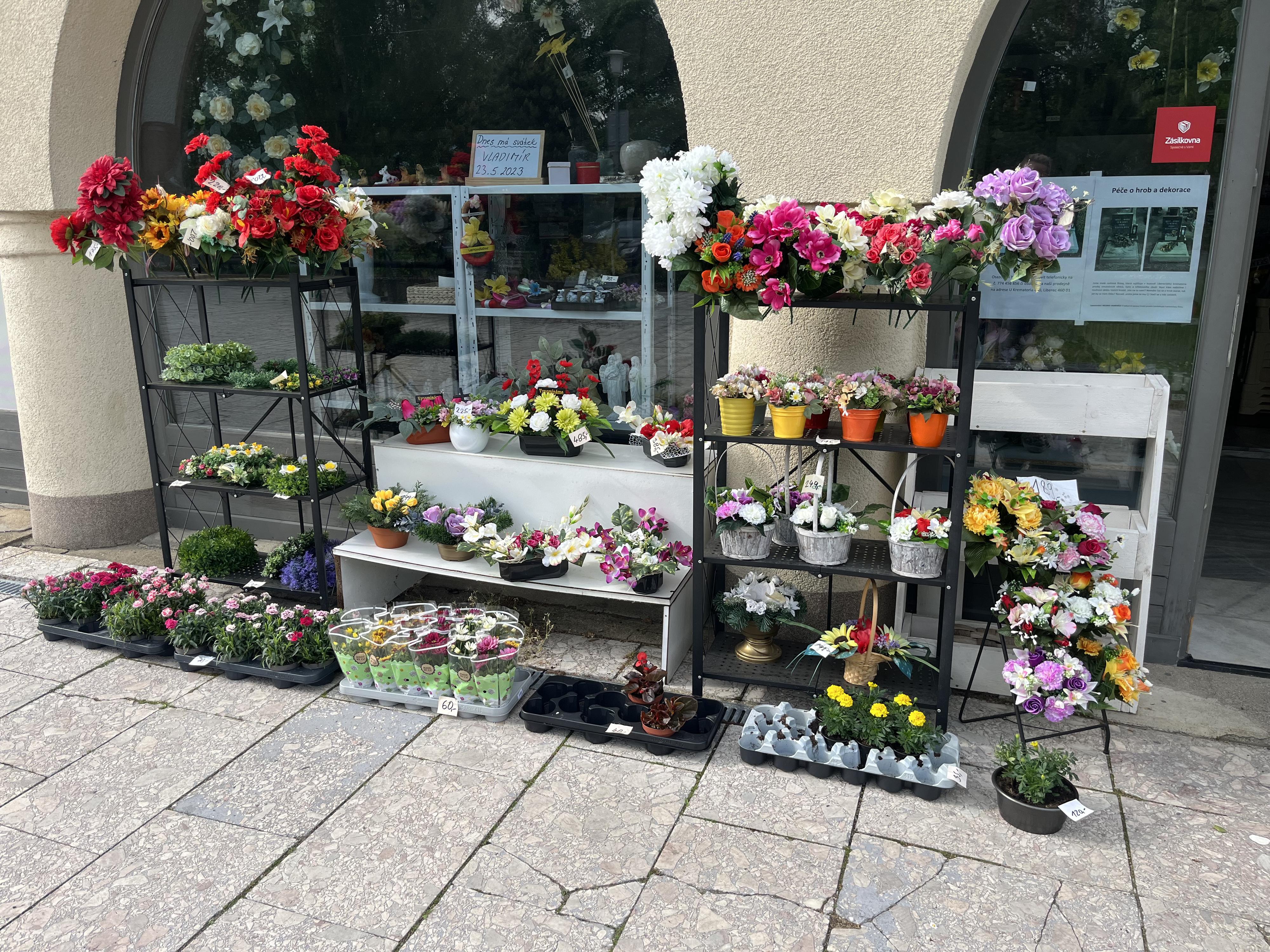 Květiny Růžička foto 3