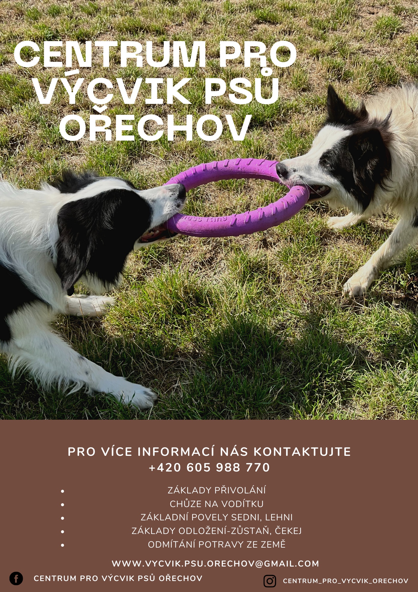 Centrum pro výcvik psů Ořechov foto 4