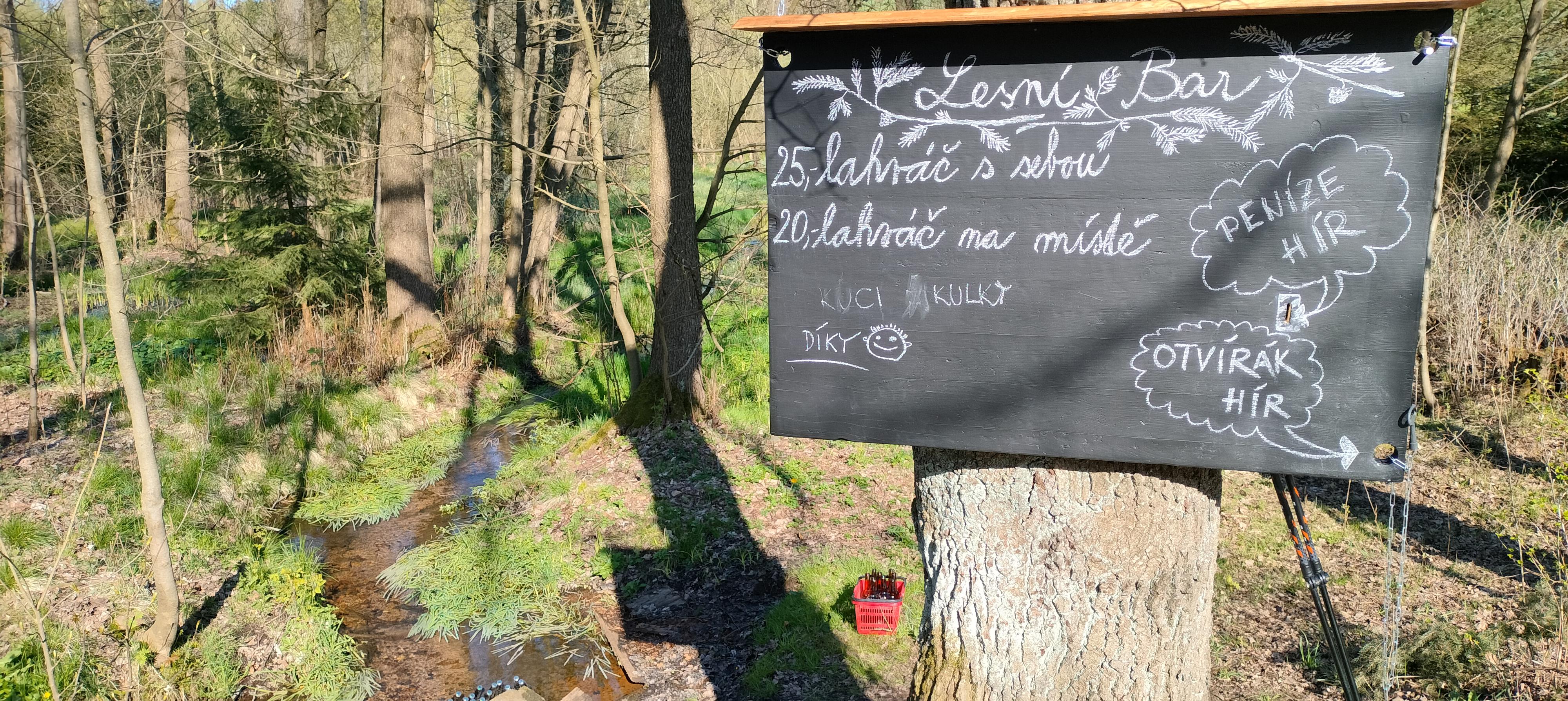 Lesní bar Údolí foto 6