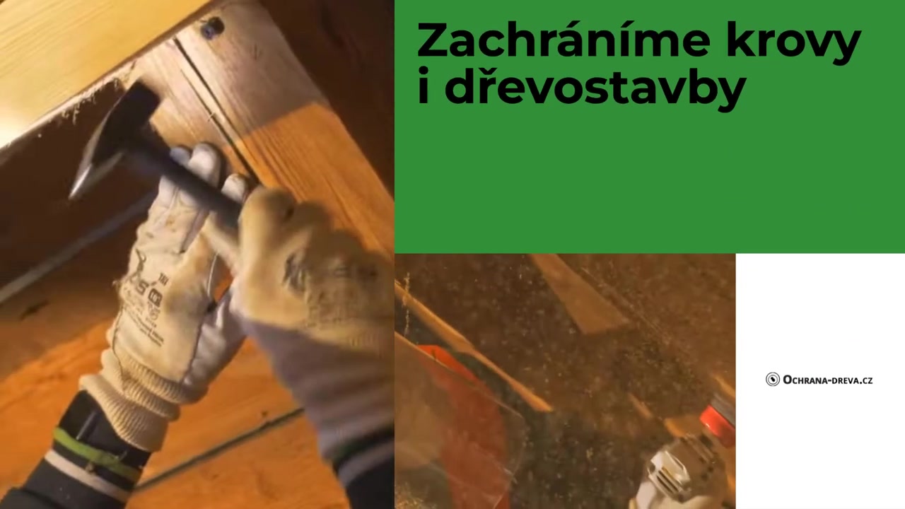 Ochrana-dreva.cz foto 2 (náhled videa)