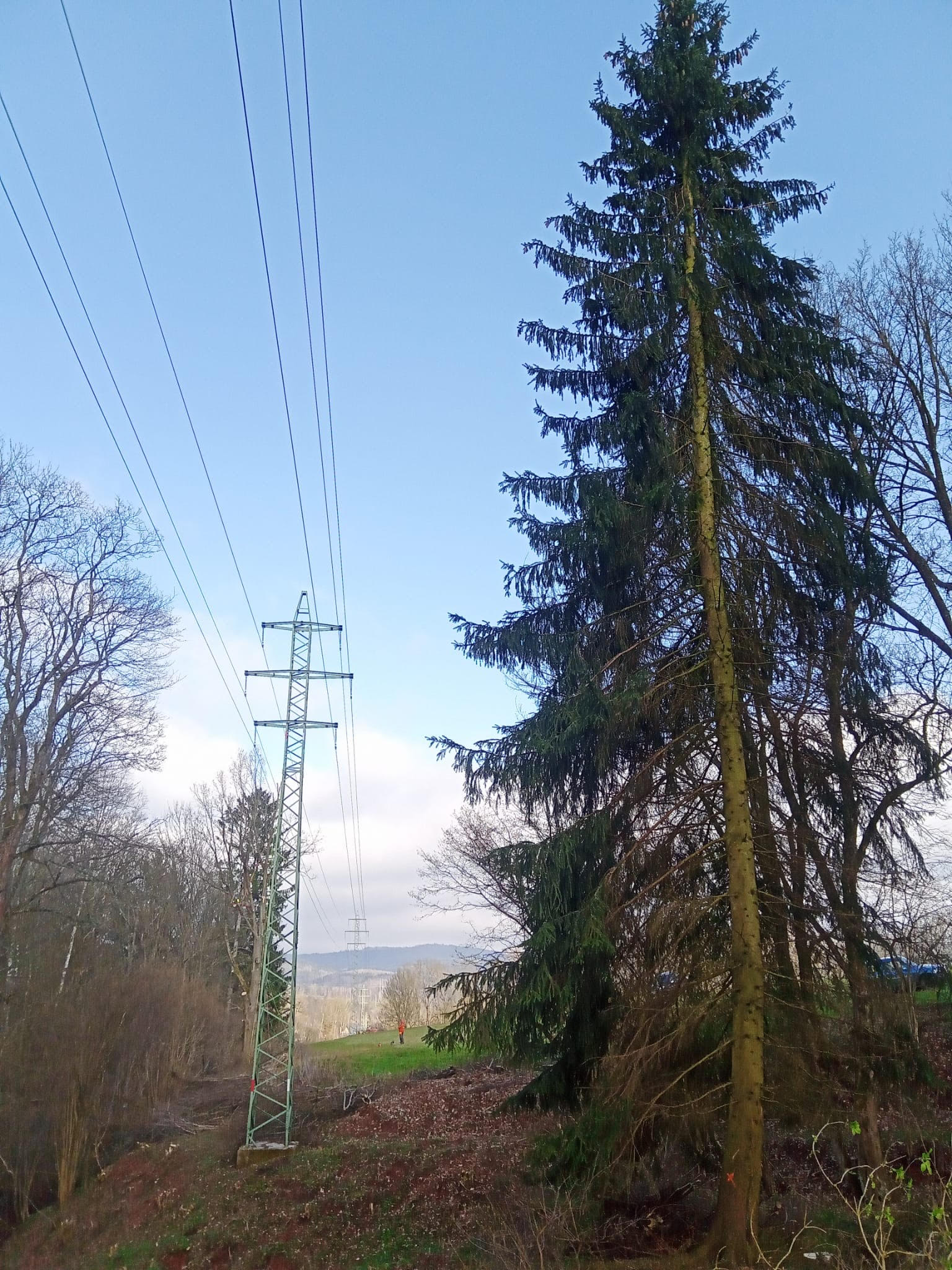 Rizikové kácení stromů a výškové práce Martin Bastl foto 6