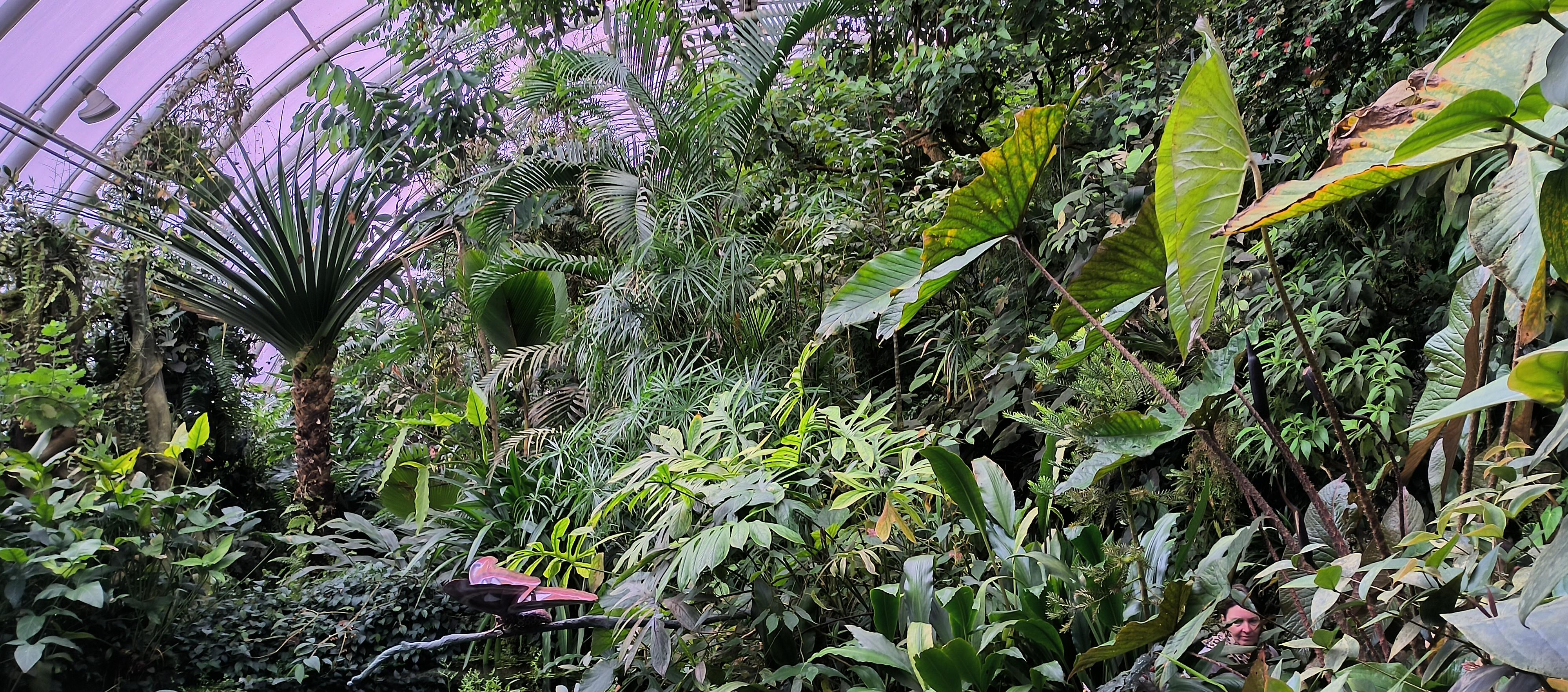 Botanická zahrada Praha foto 6