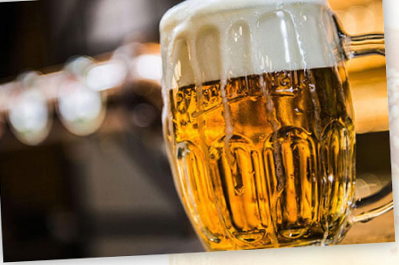 Tanková Plzeň, Radegast a dokonalá káva
