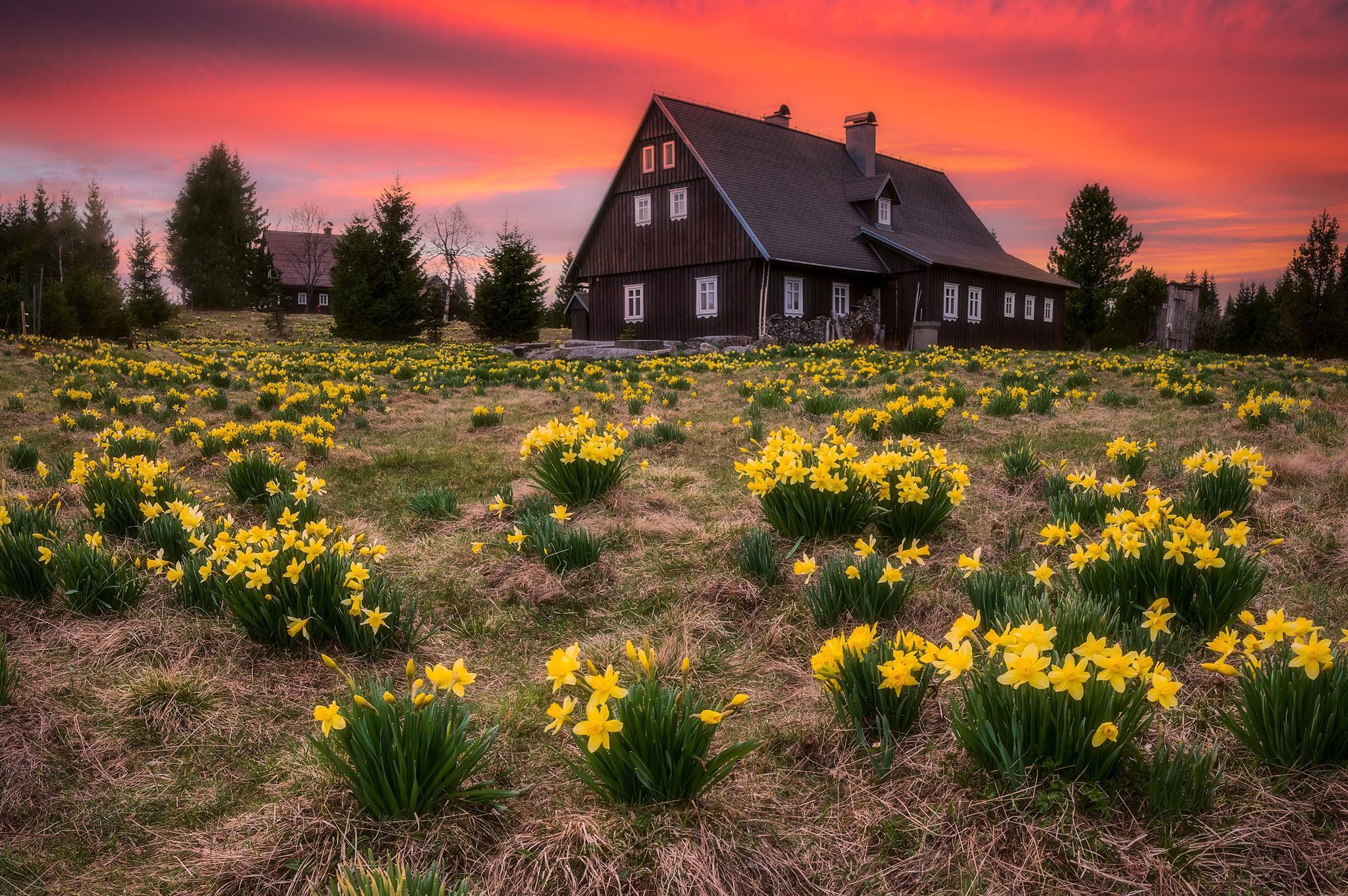 Oceňování - odhady nemovitostí Mgr. František Steinbach