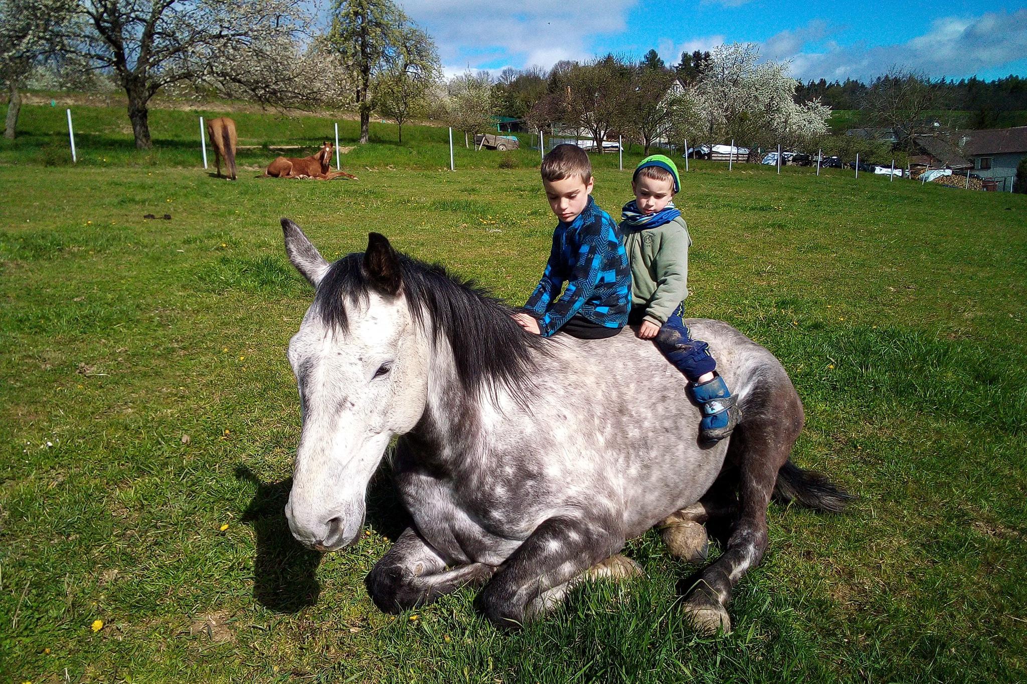 JK Stáj Brettynka z.s.