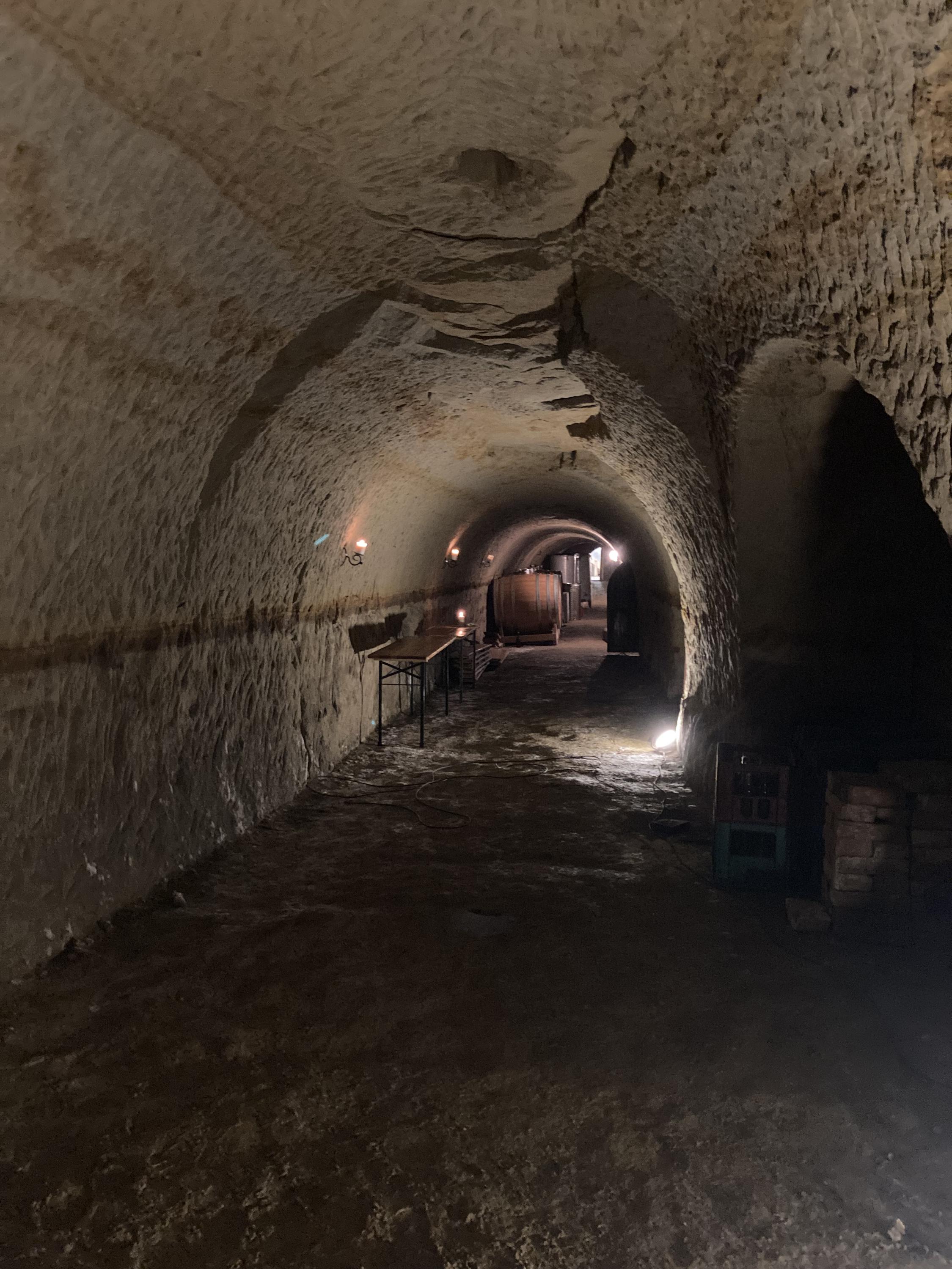 Víno Přistál, vinný sklep foto 4