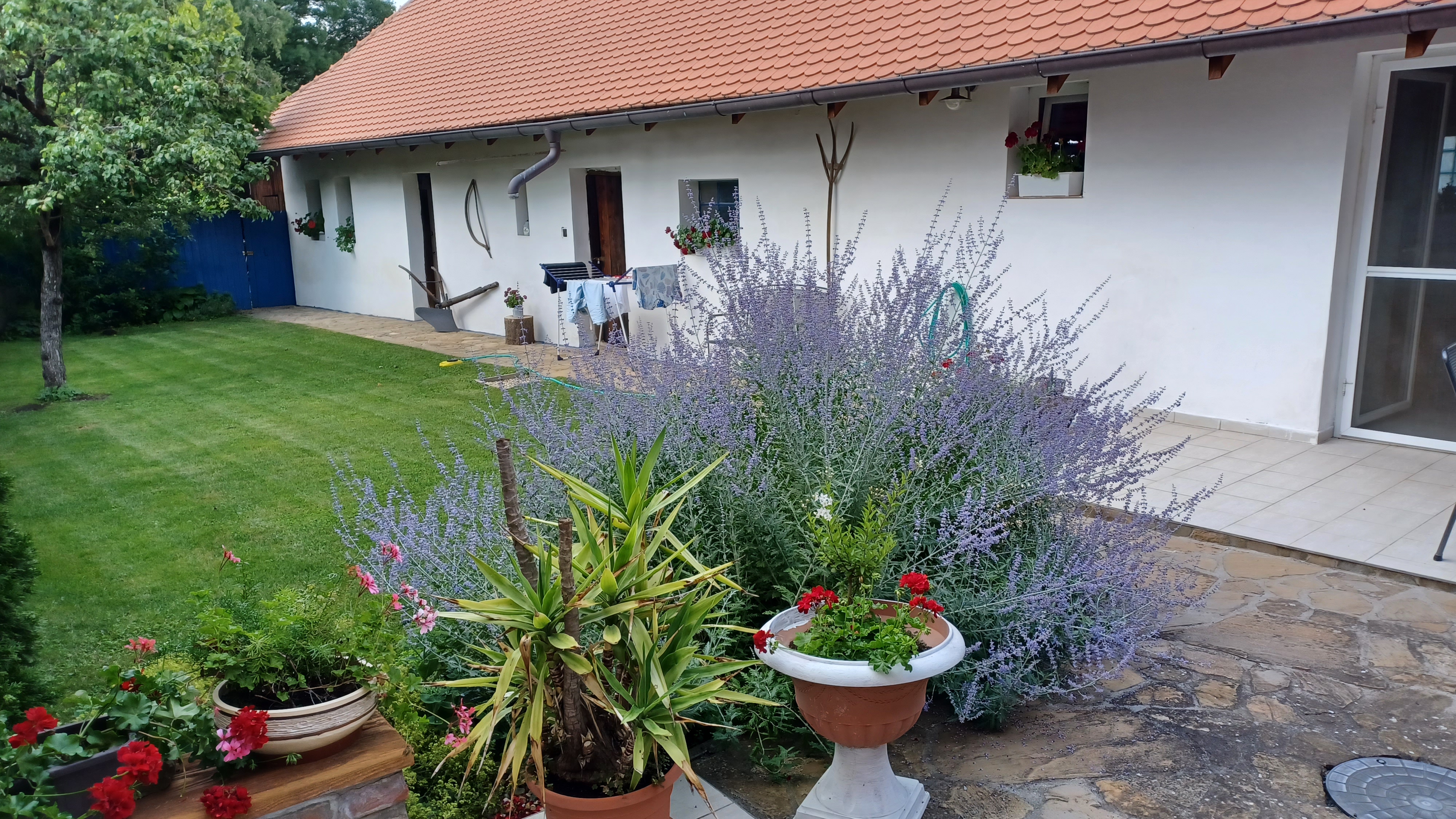 Slovácká chalupa foto 4