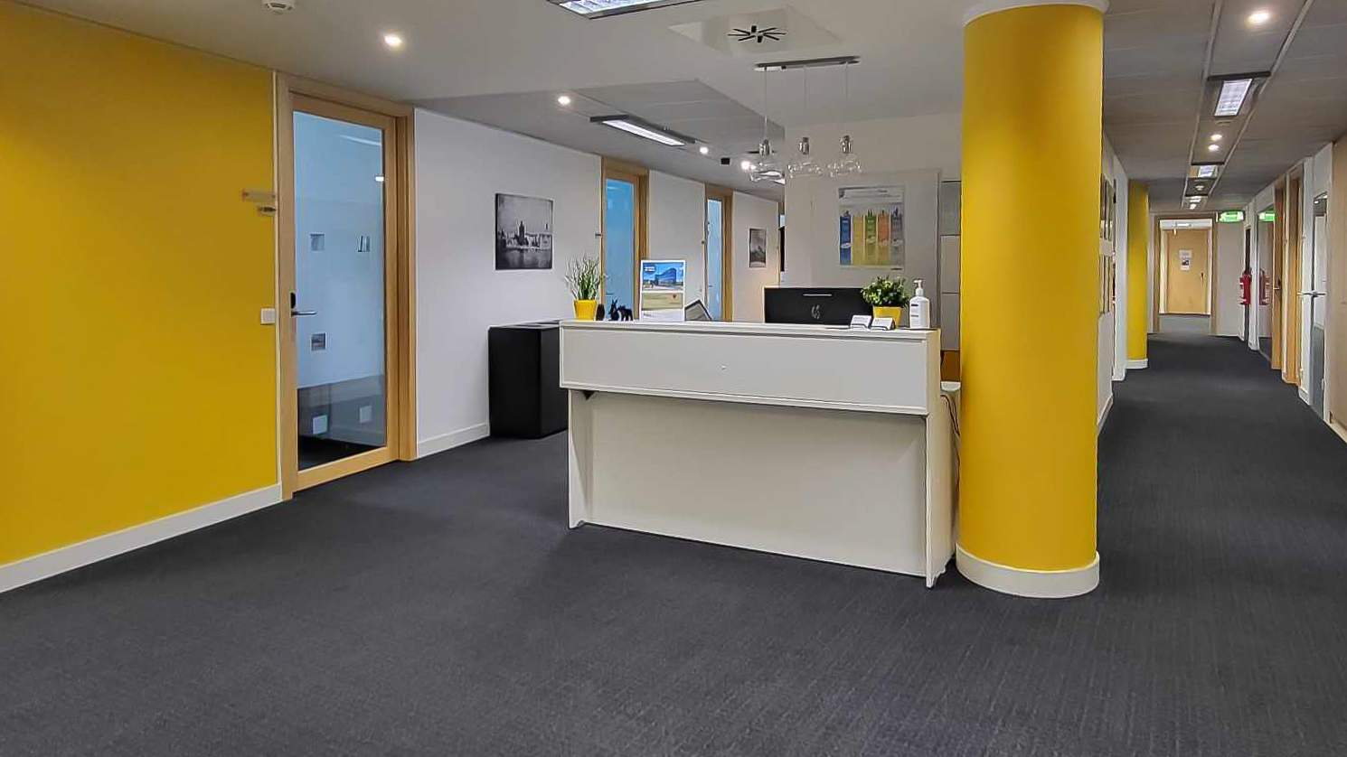 (ant) | digitální agentura foto 3