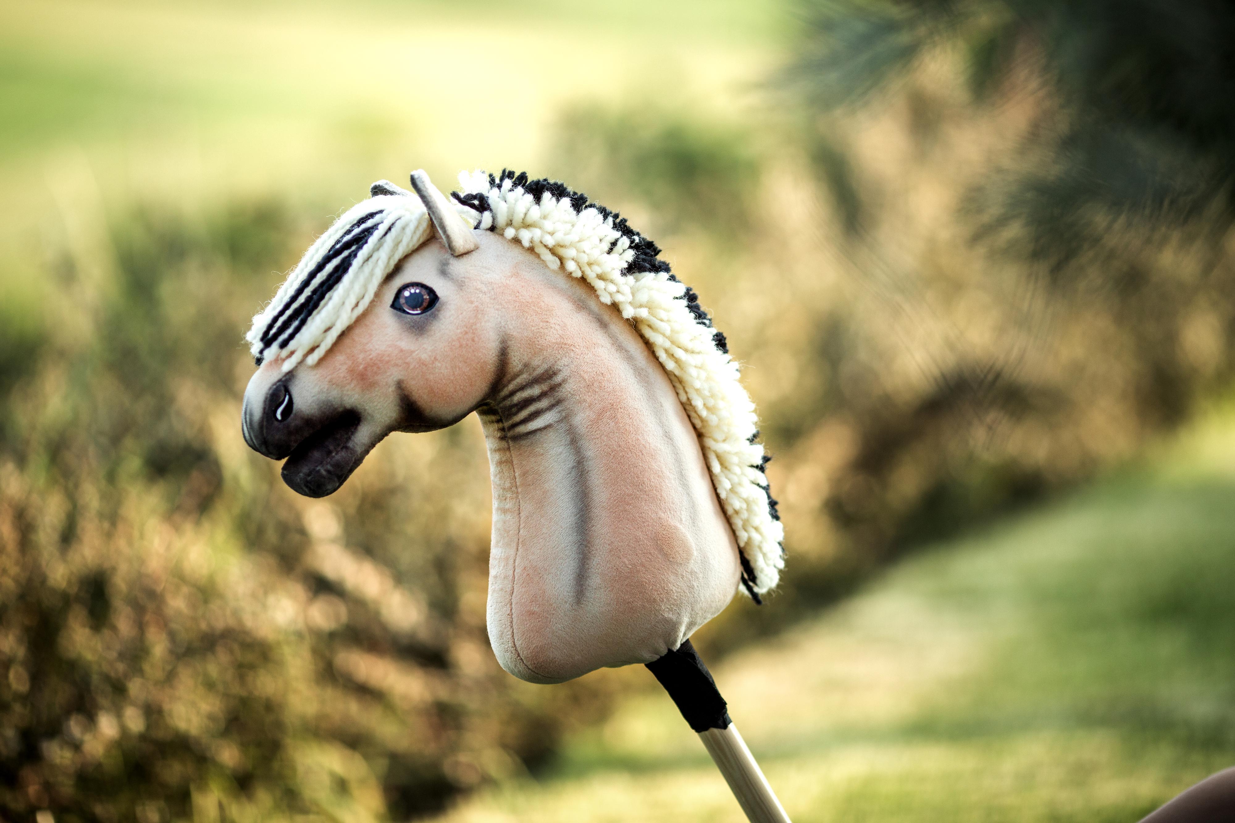 Hobby Horse LarDen foto 3