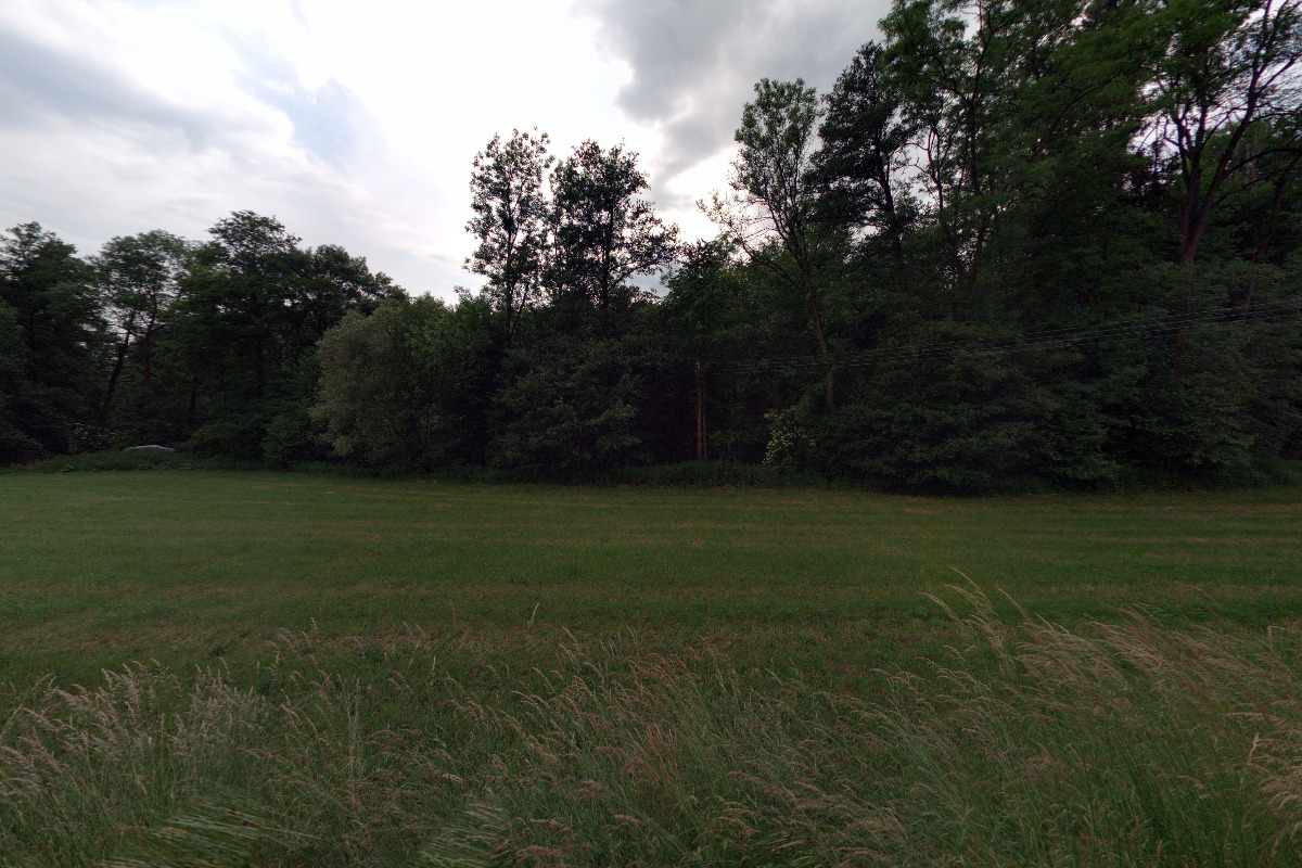 Blanka Chejnová - Aloe svět zdraví a krásy