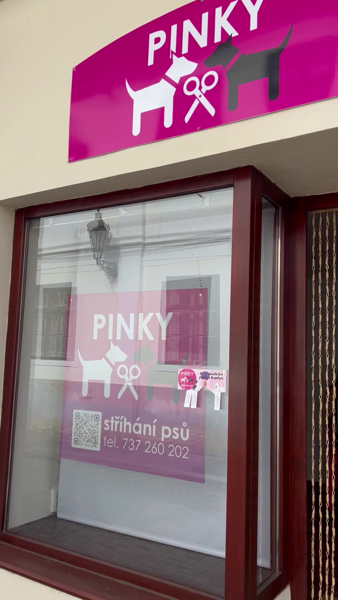PINKY - stříhání psů foto 2 (náhled videa)