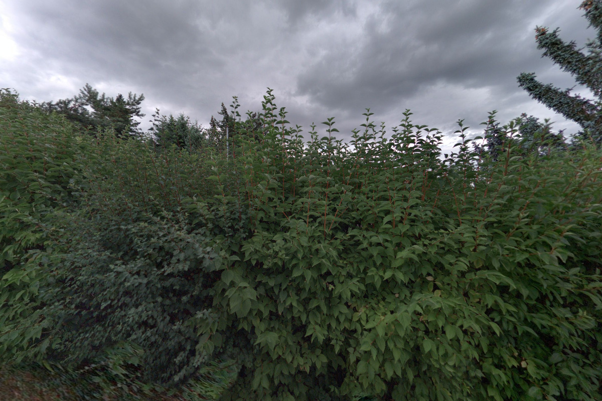 Kineziologie Jana Jelínková foto 2