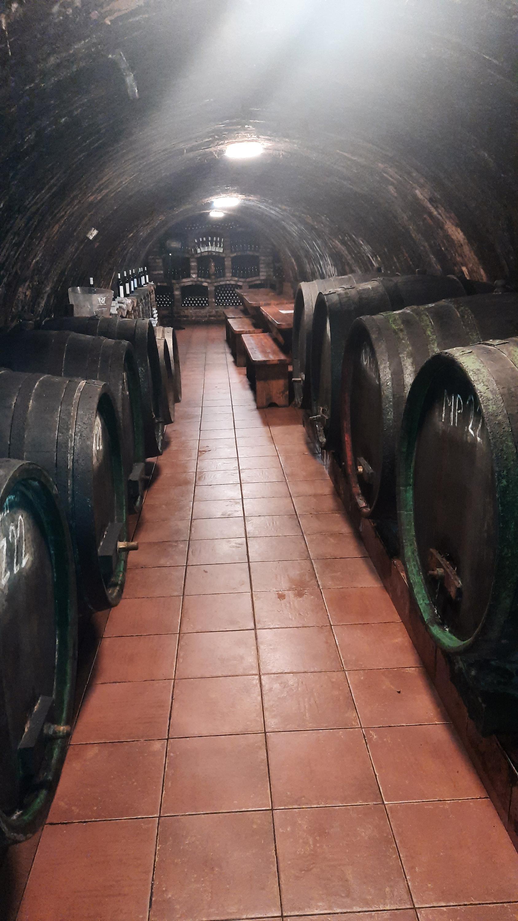 Vinařství Bočko - vinný sklep foto 3