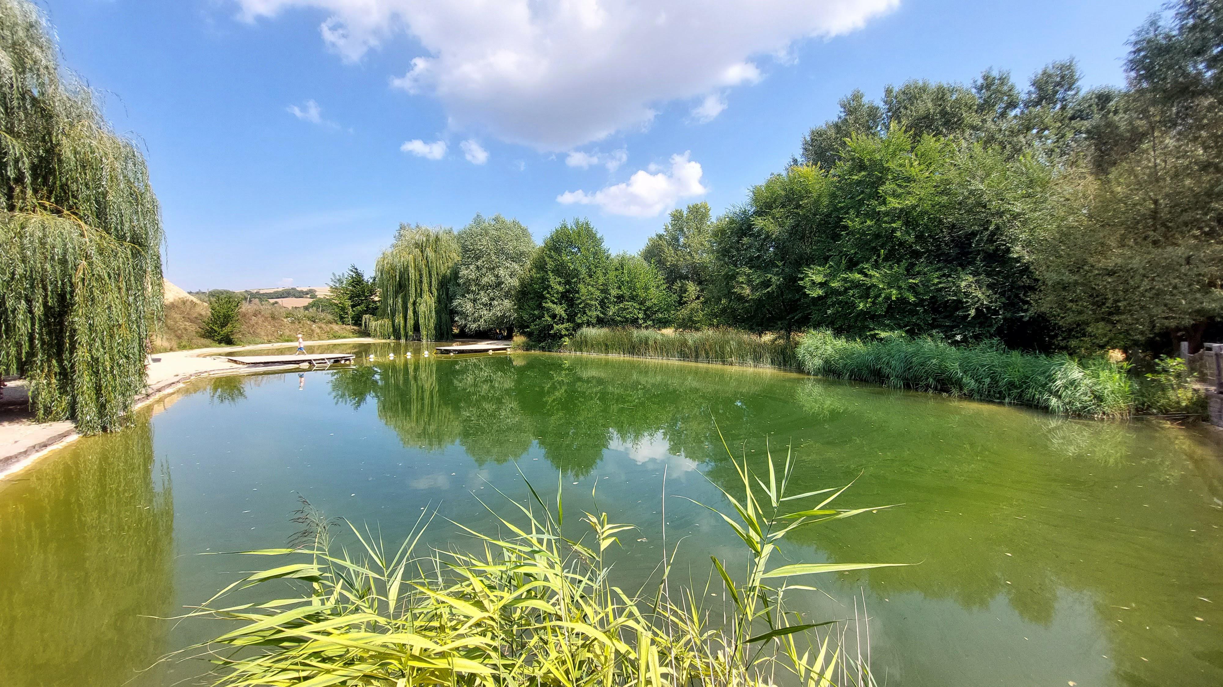 Přírodní koupací biotop Modrá foto 6