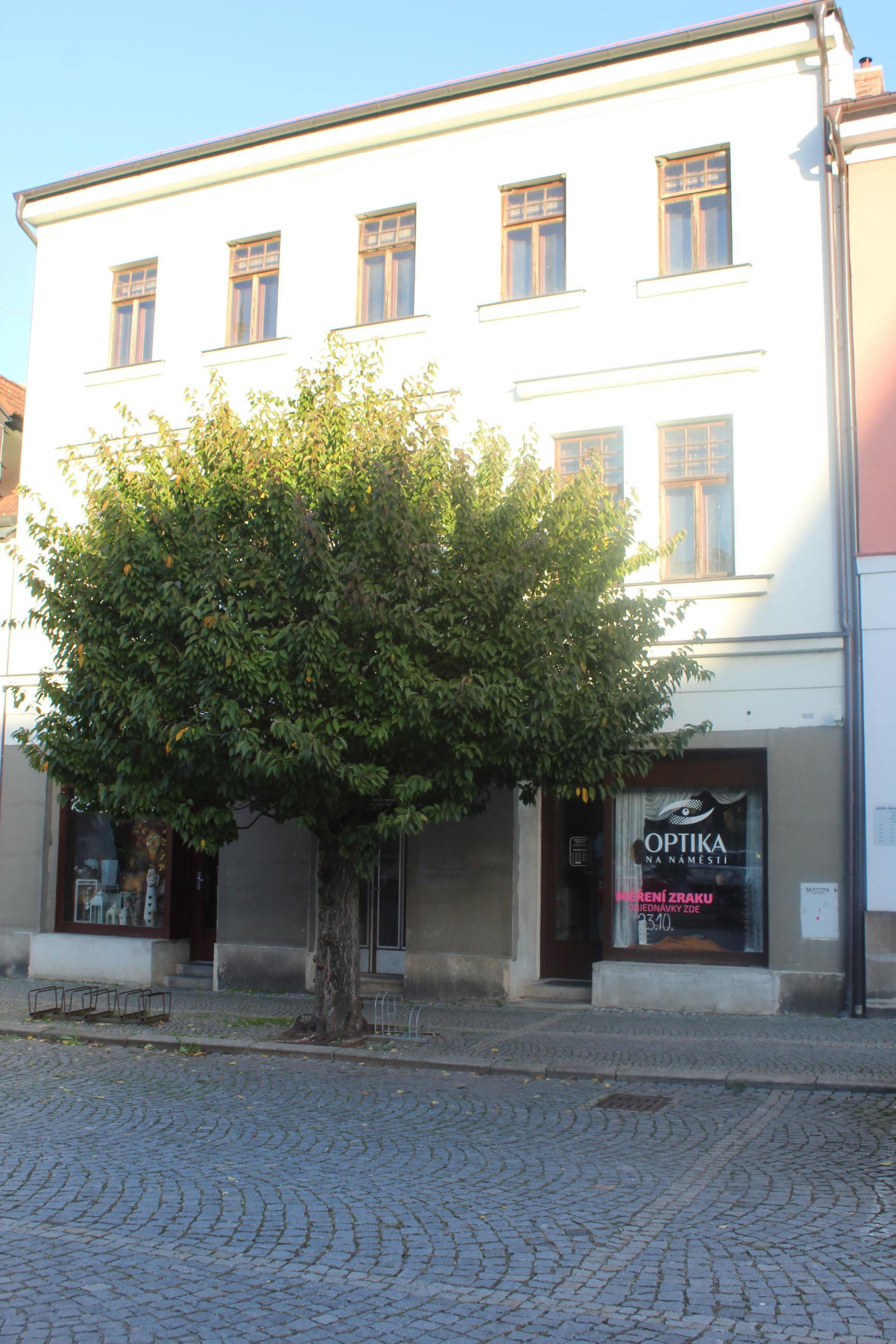 Štěpánka Pecková, DiS. - oční optika foto 3