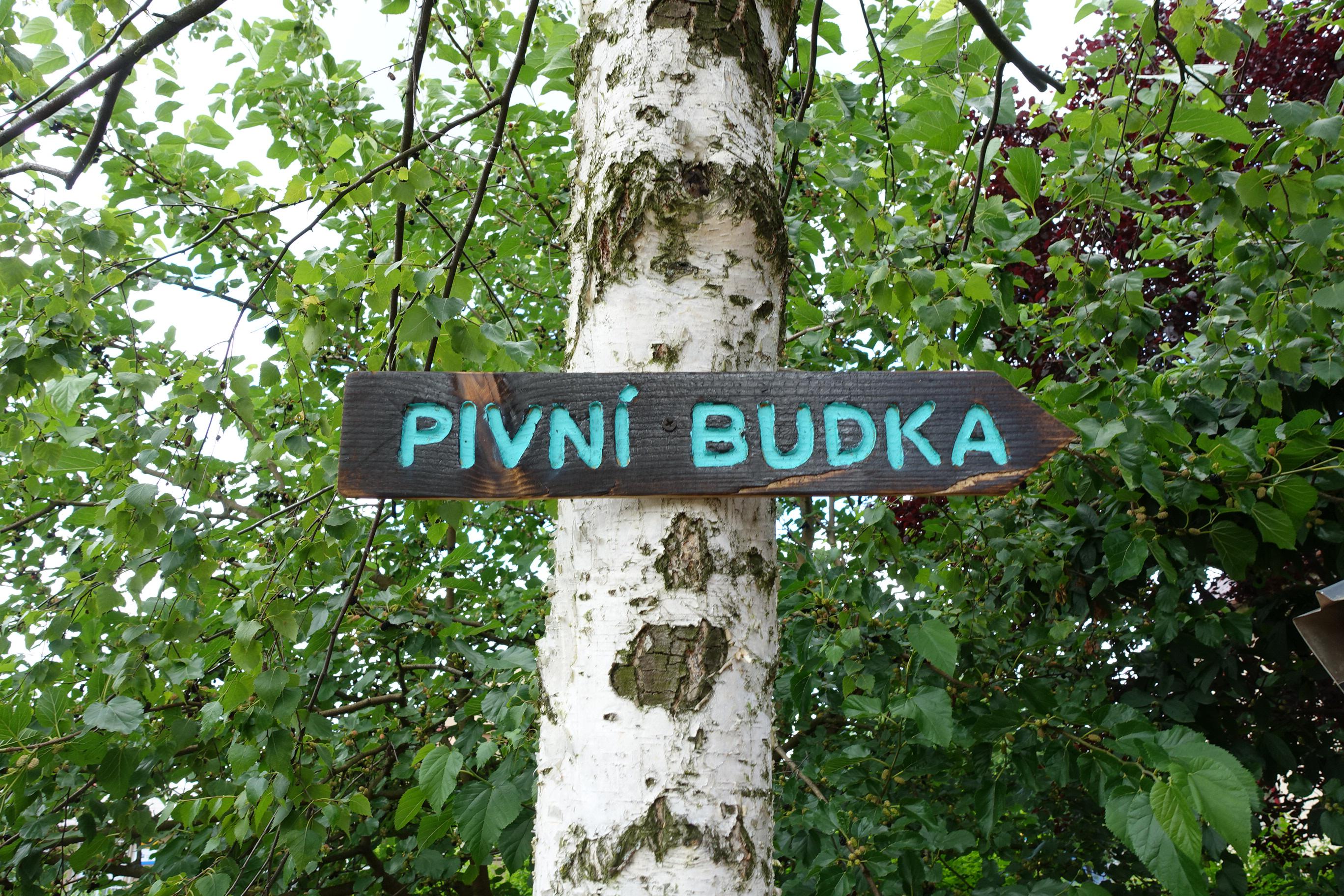 Pivní budka pod moruší foto 5