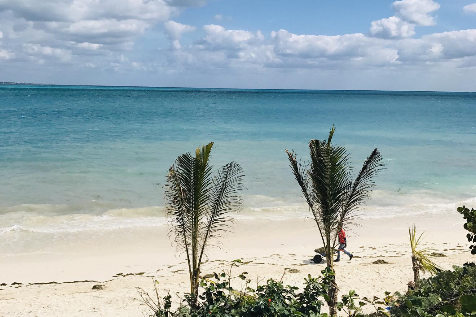 Alena Francová - Cestovní agentura Palma