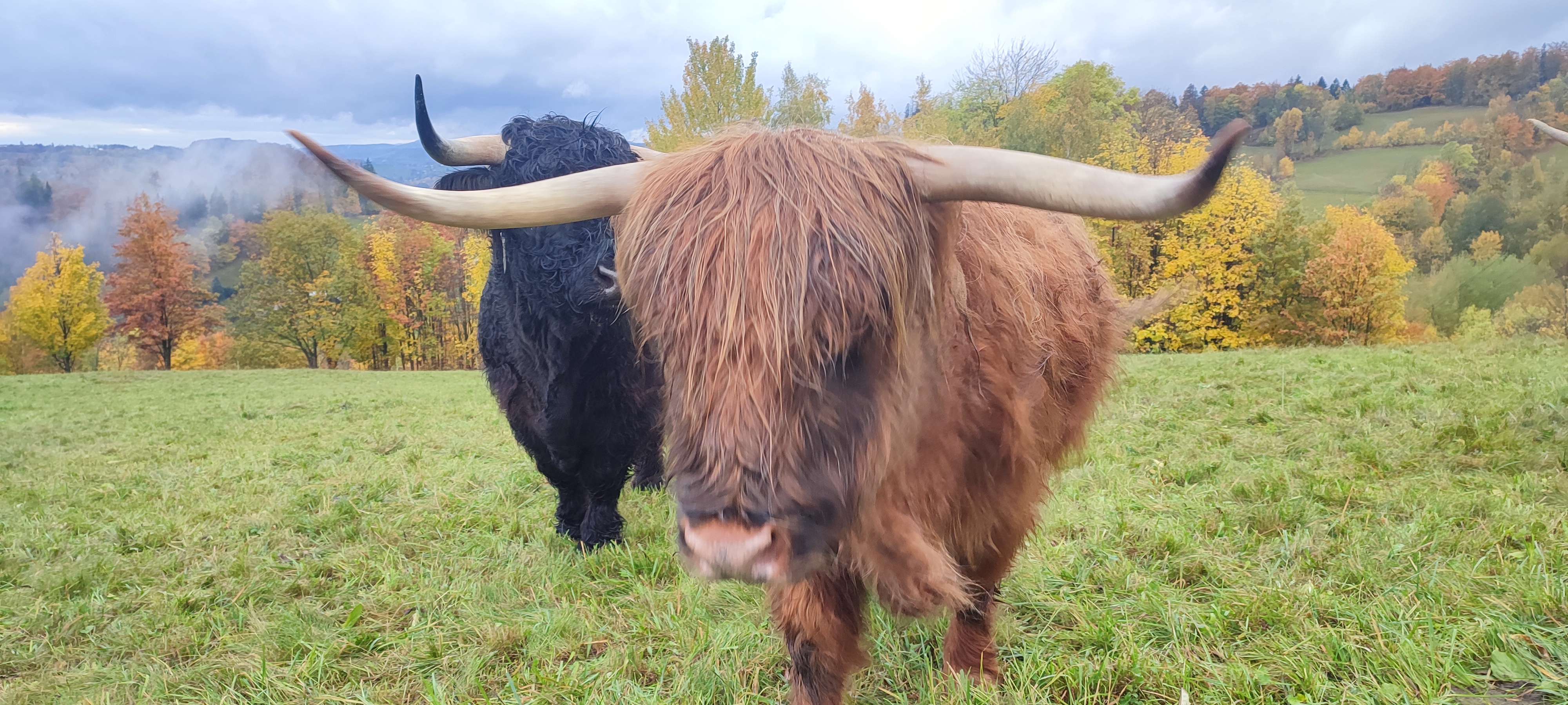 Malá Farma Spálensko - Bratrouchov foto 2