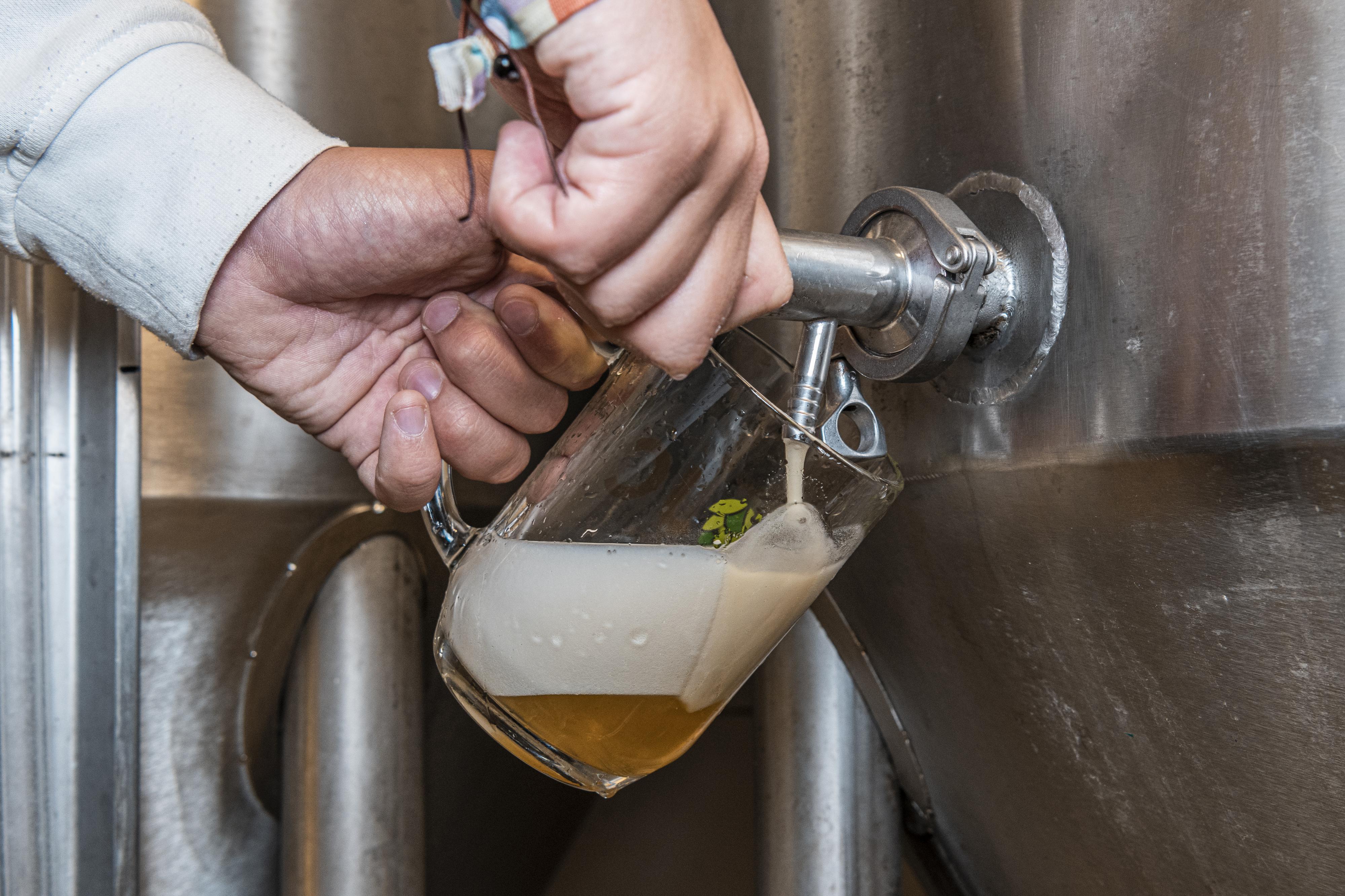 Řemeslný pivovar Rojc foto 2