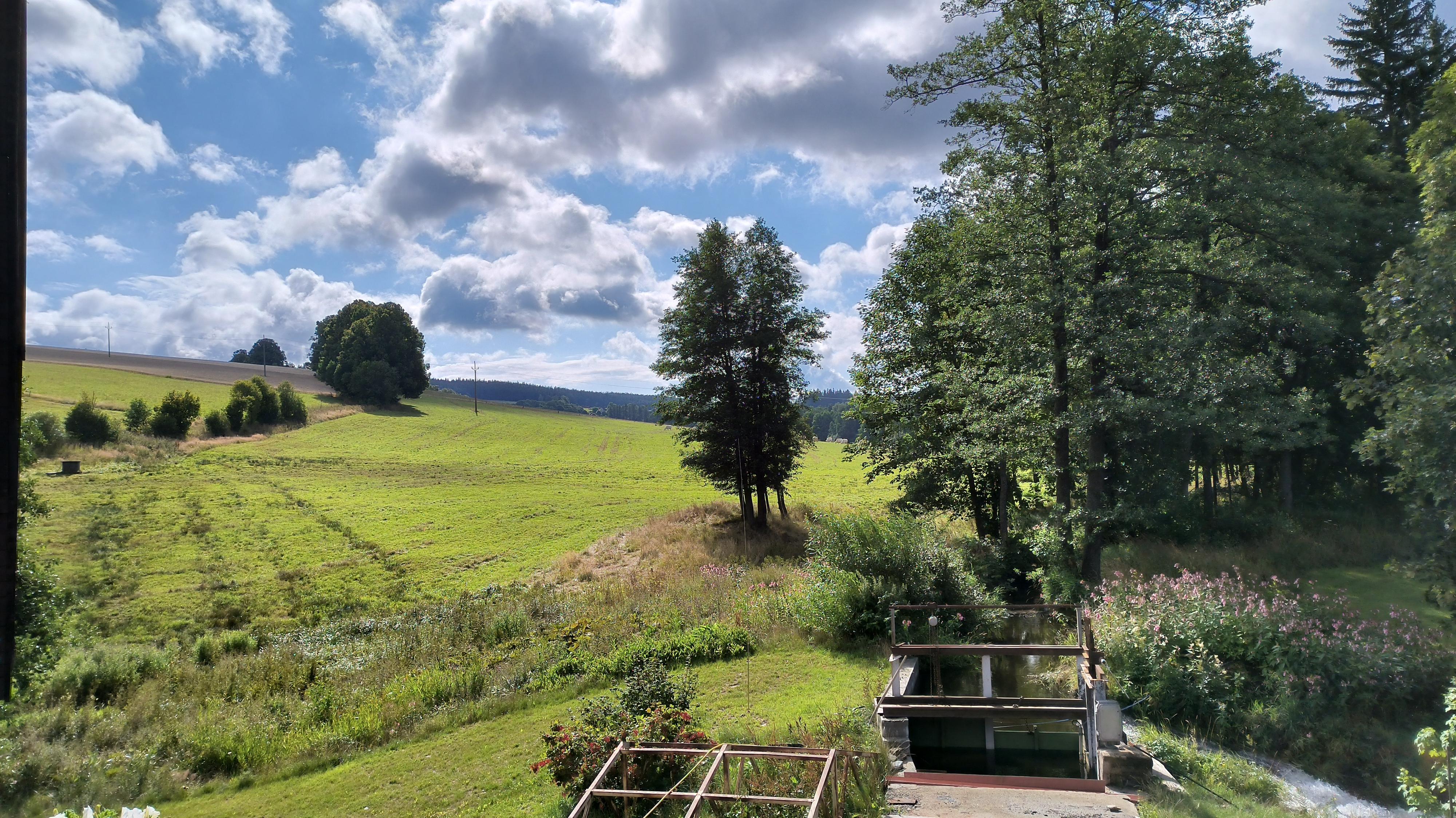 Apartmány Ve Mlejně foto 5