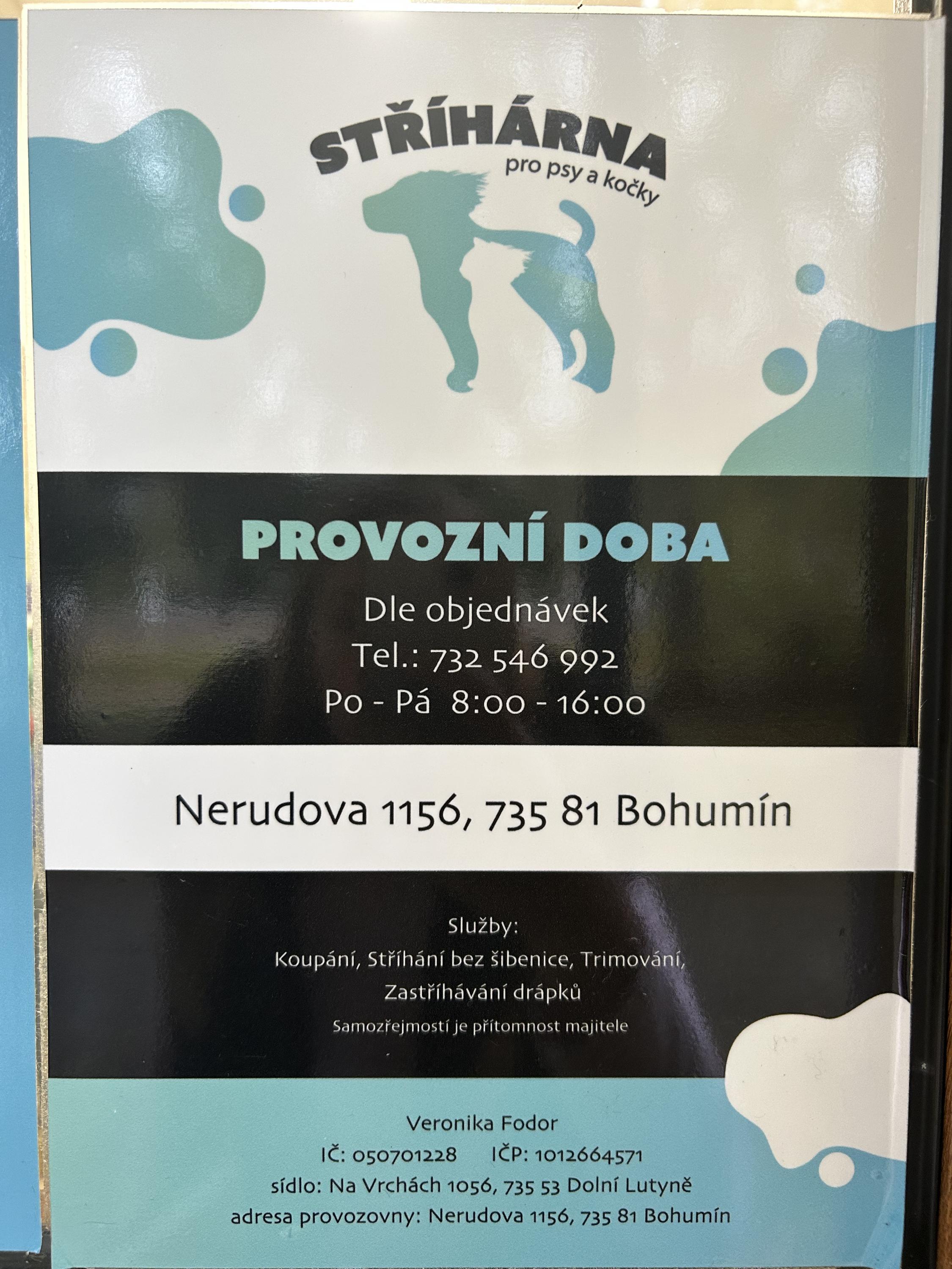 Veronika Fodor - Stříhání psů a koček foto 2