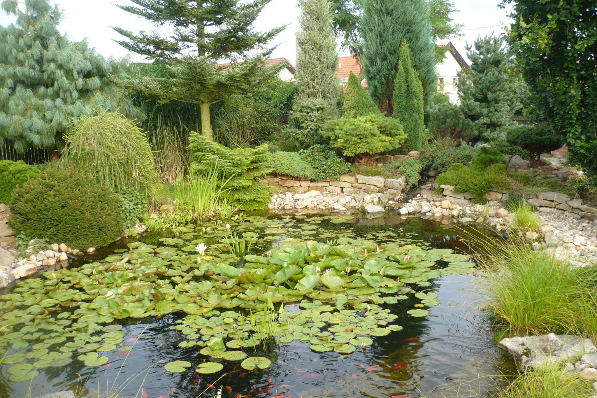 Naše Jezírka - AV RECORD